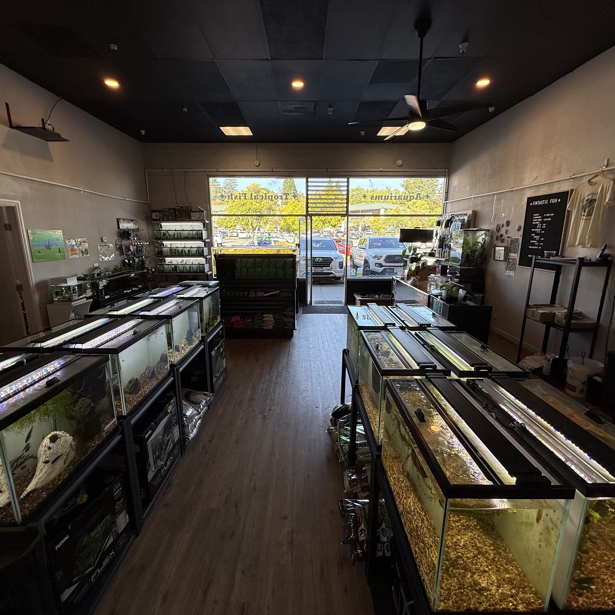 Fintastic Fish Scotts Valley