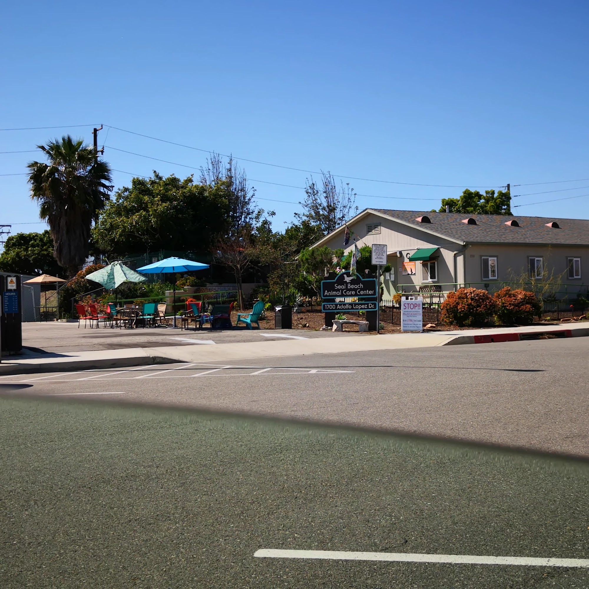 Seal Beach Animal Care Center Seal Beach