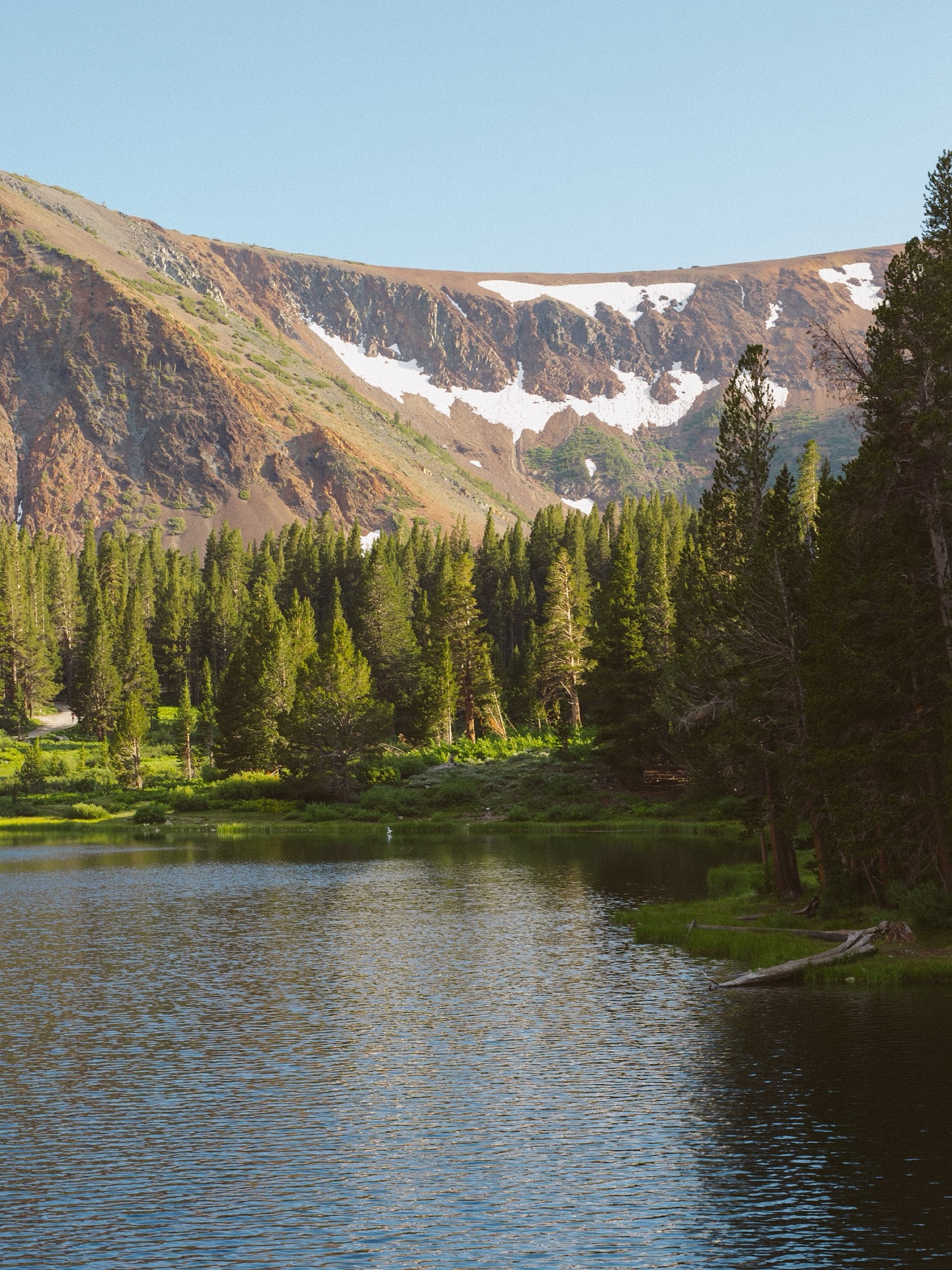 Alvarado at the Pitch 4111 2nd Ave, Seaside