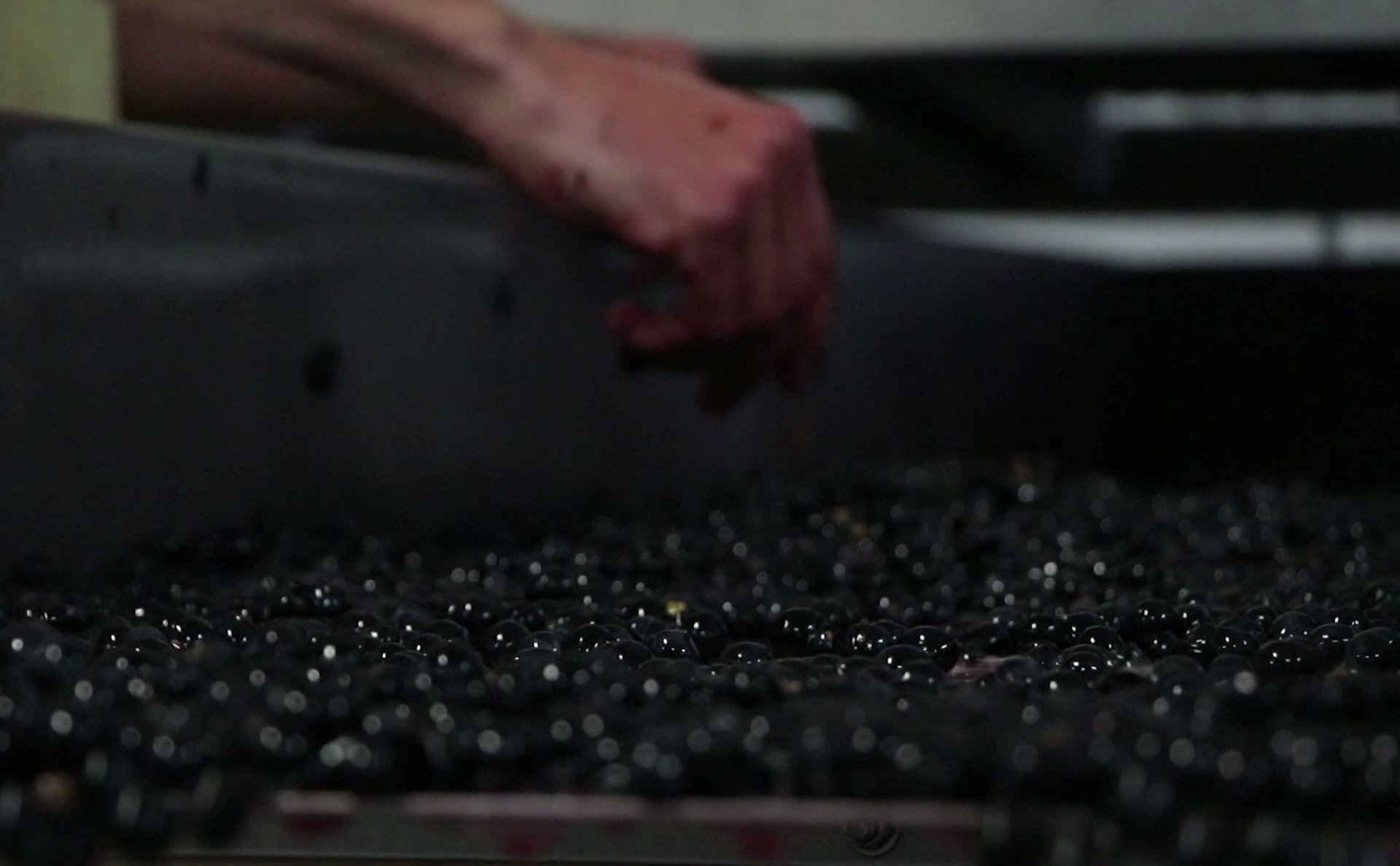 Red Car Wine Co Menu