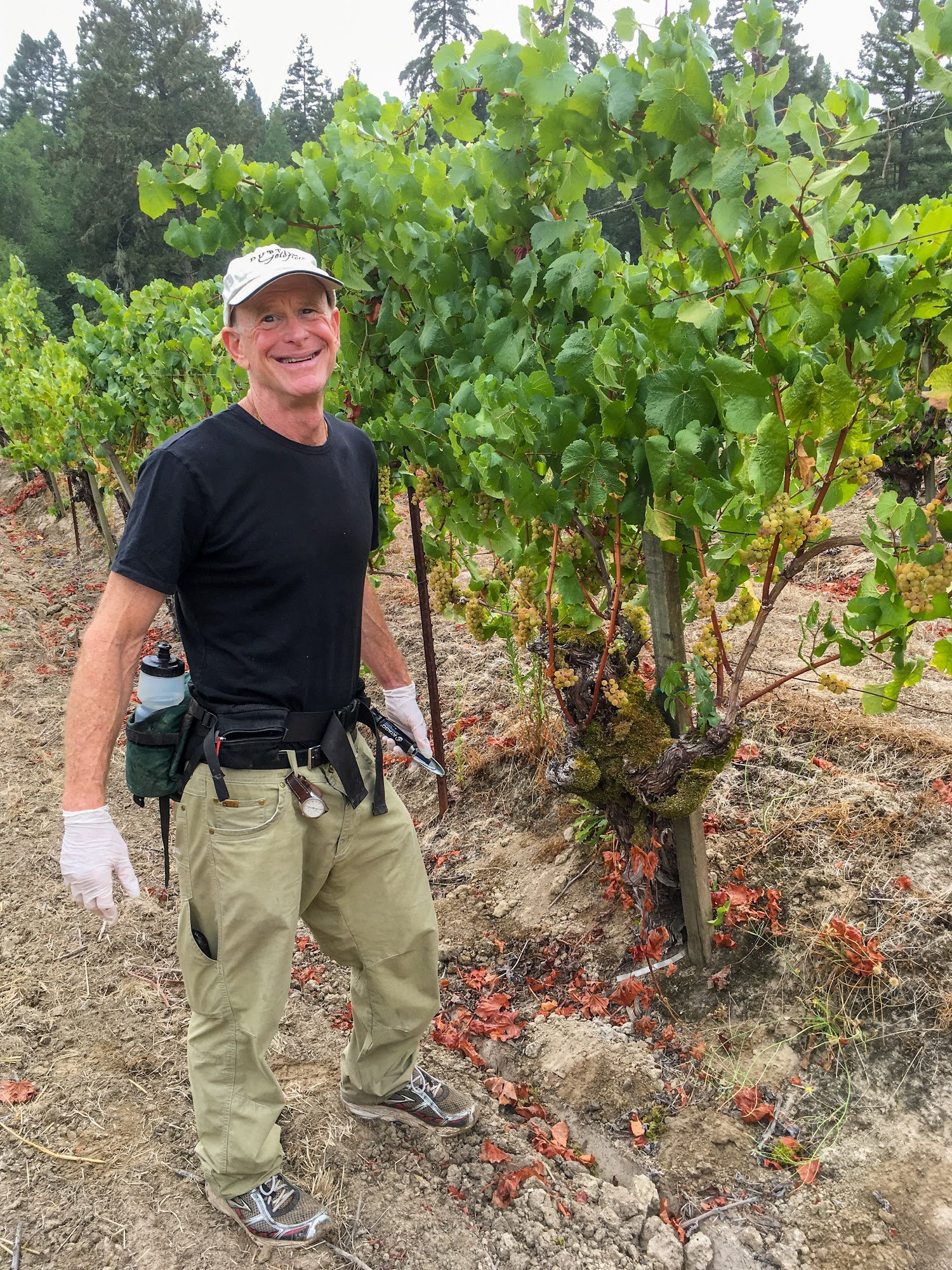 Dutton-Goldfield Winery Sebastopol