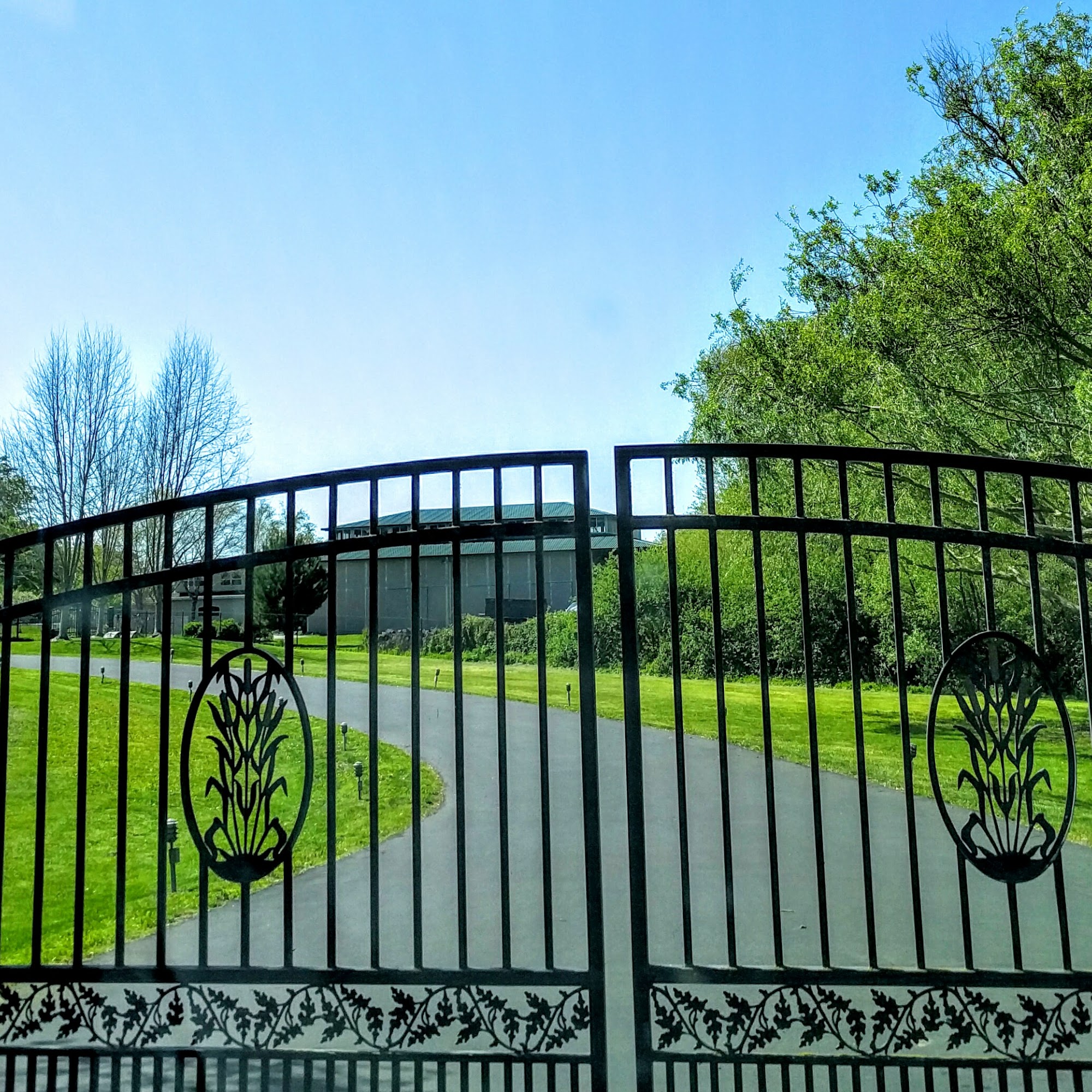 Tappen Hill Dog Boarding Sebastopol