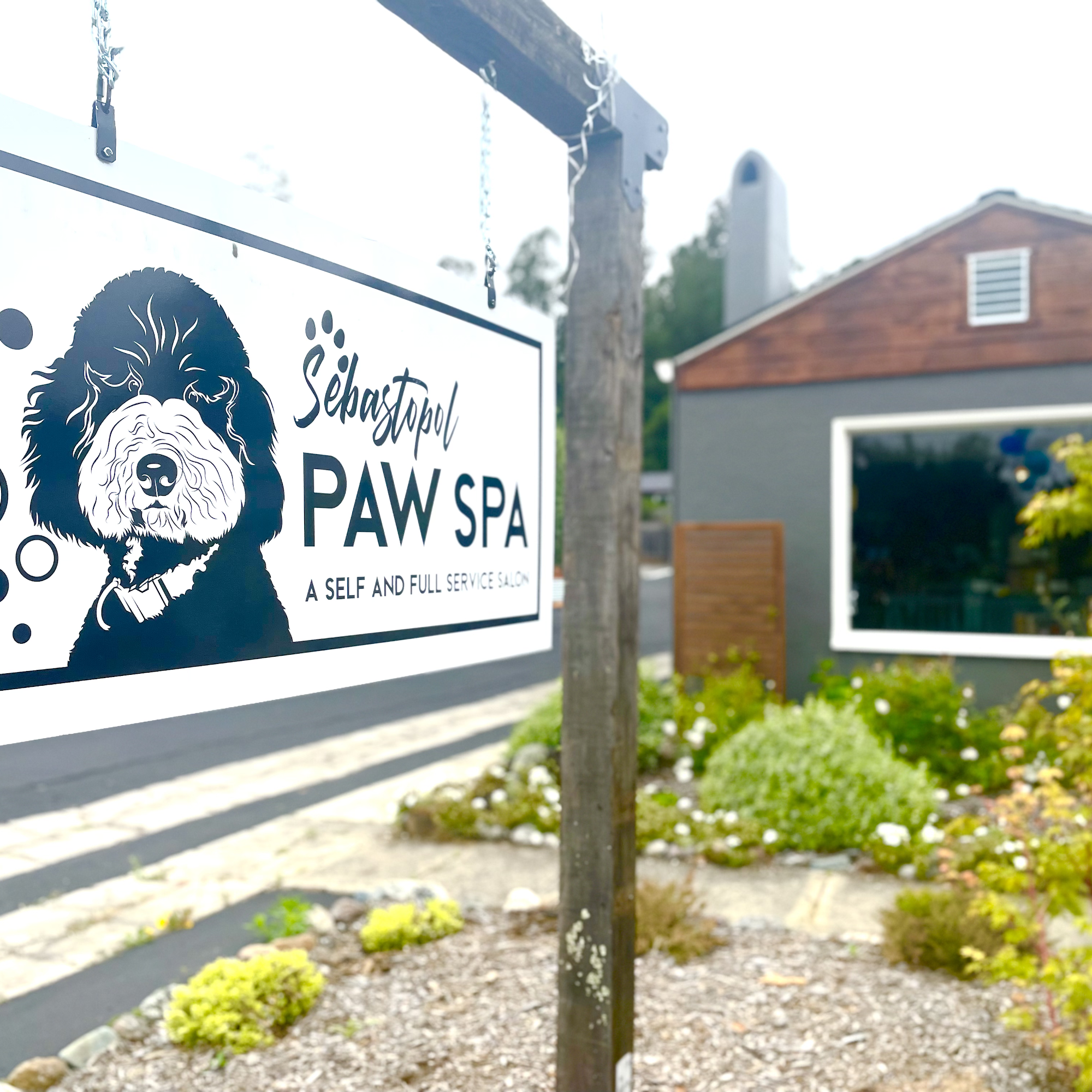 Sebastopol Paw Spa Sebastopol