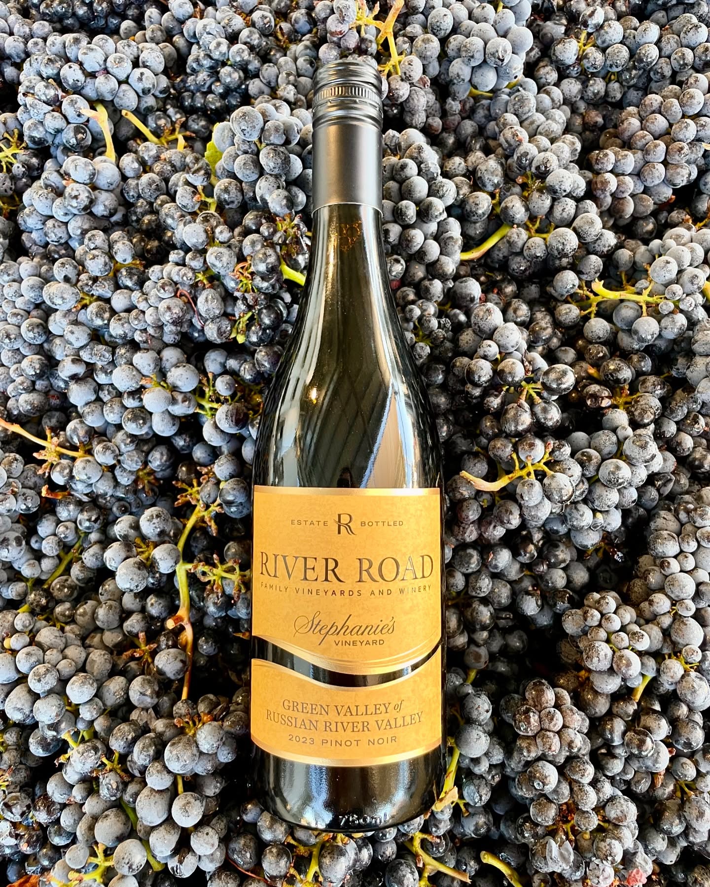 River Road Family Vineyards And Winery
