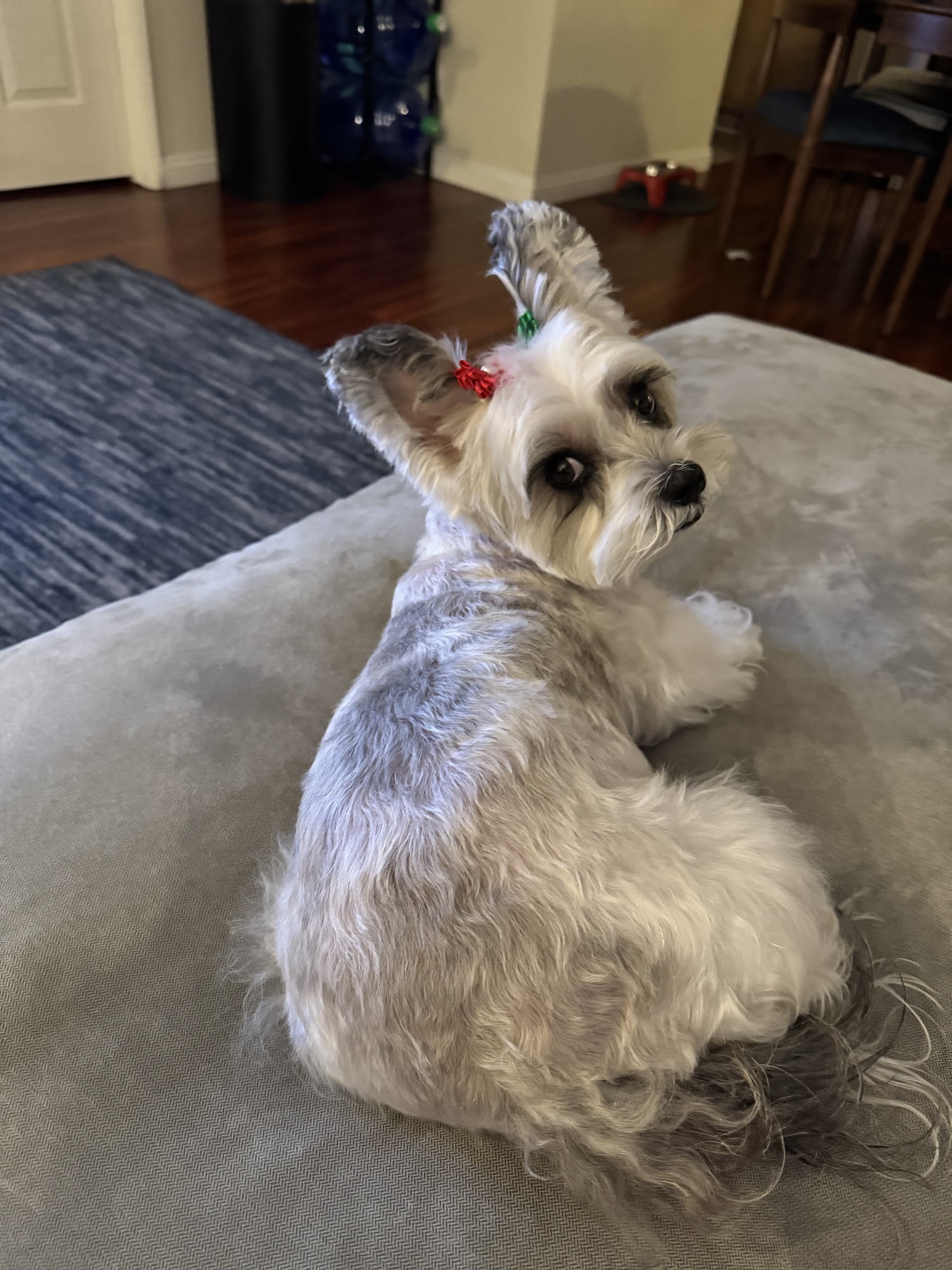 A J's Pet Shop & Grooming Sherman Oaks