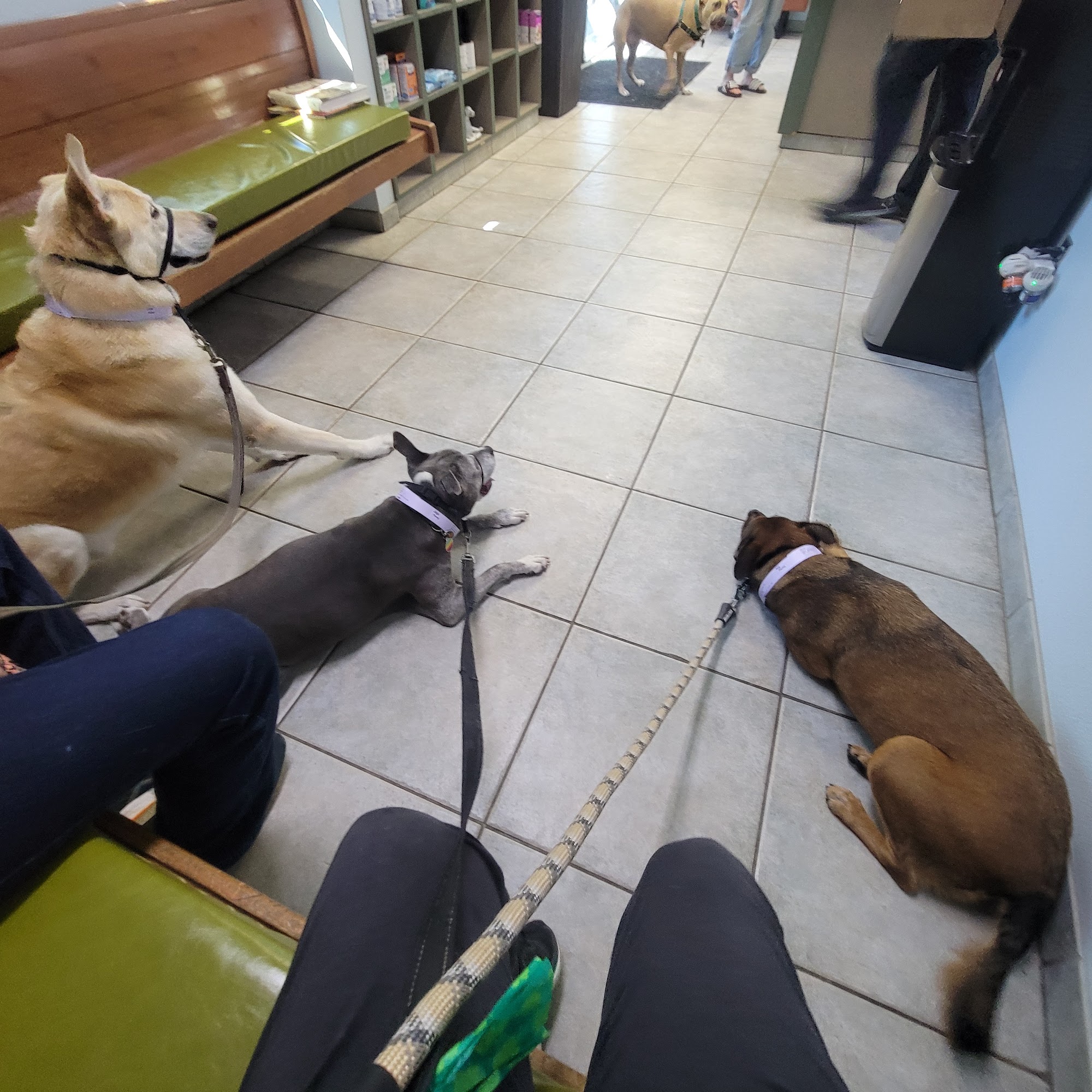 The Pet Doctors of Sherman Oaks Sherman Oaks