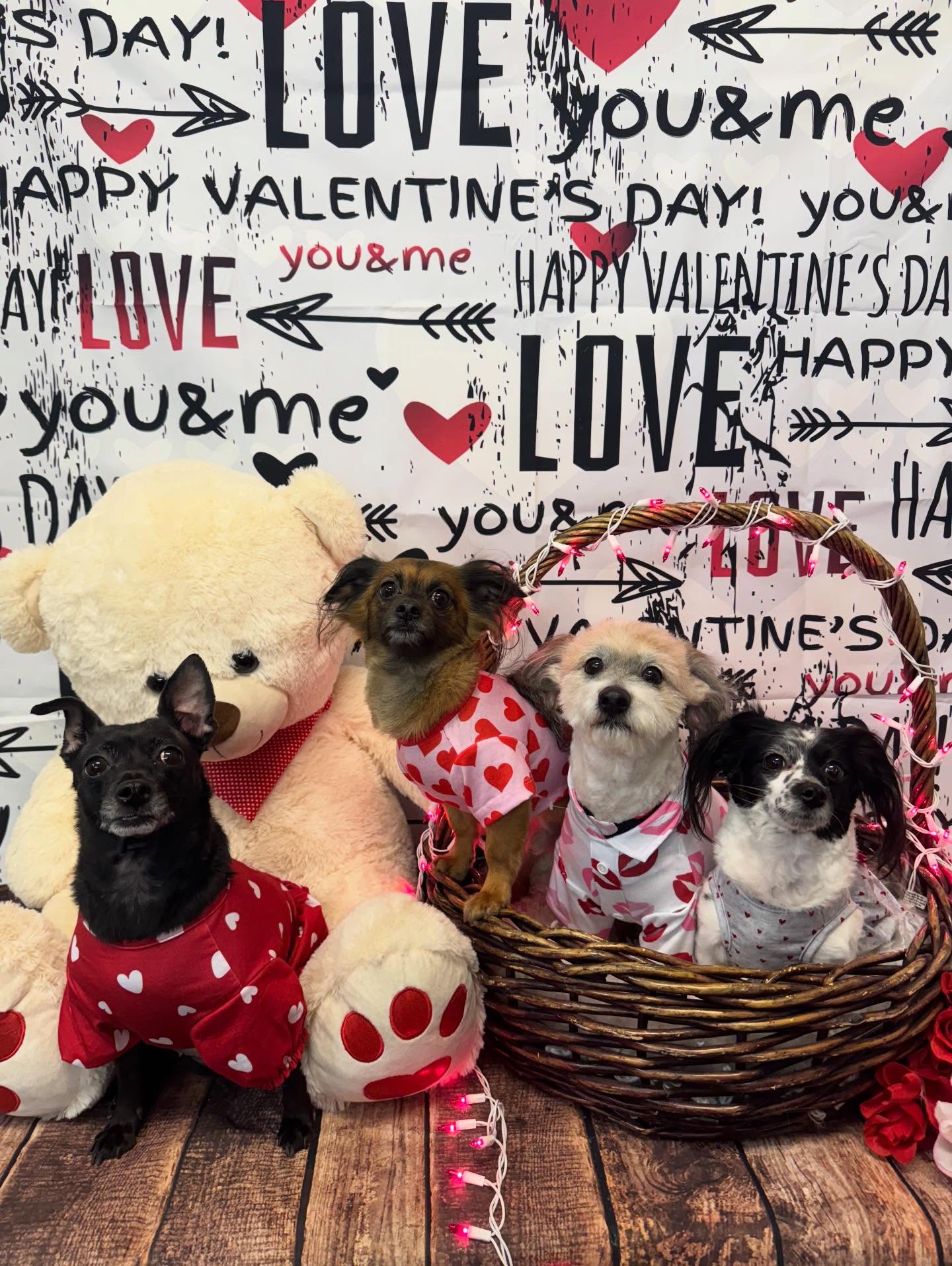 Grooming by Mariela Sherman Oaks