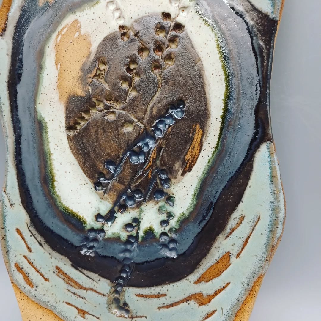 Reineria star company