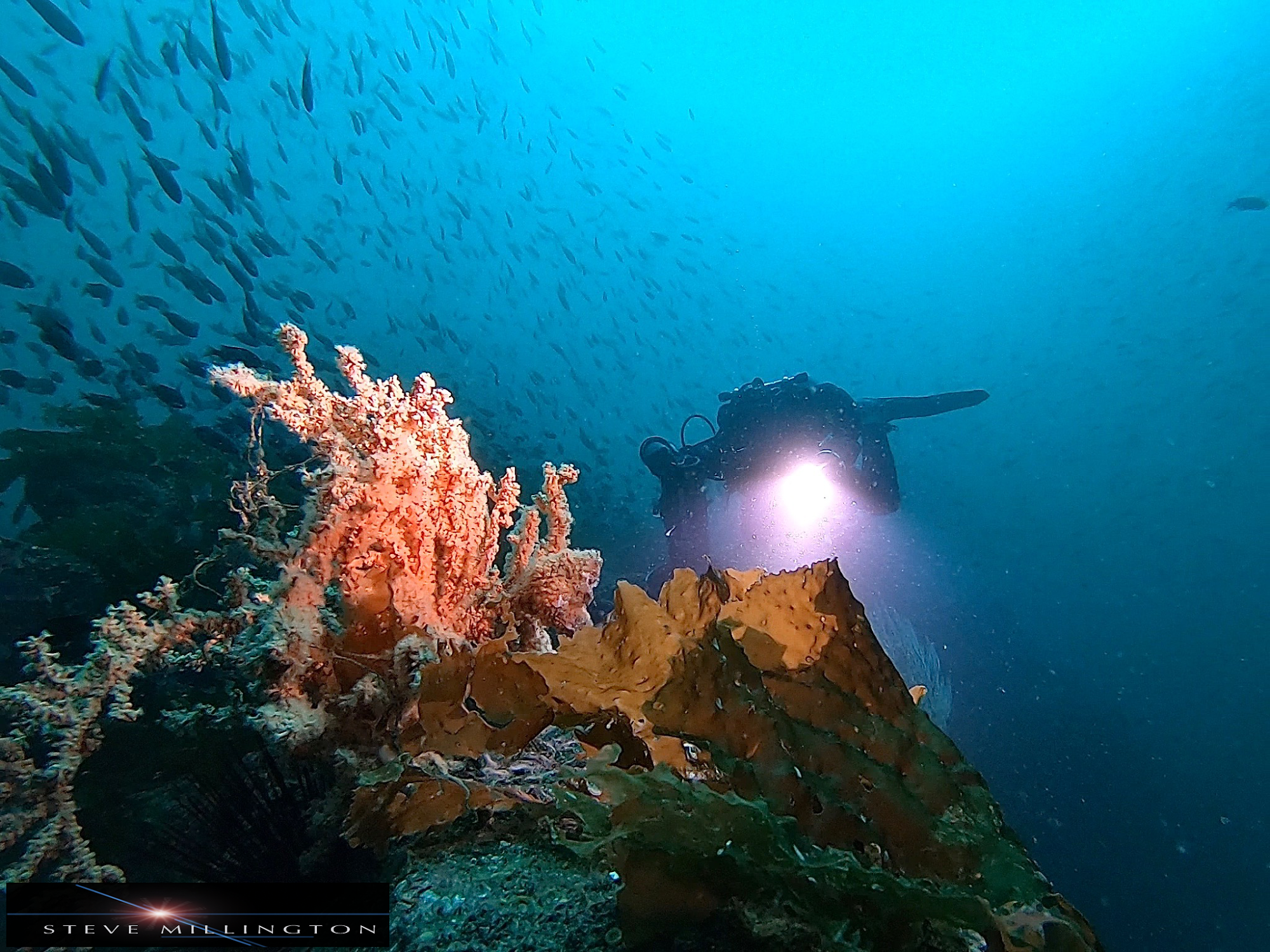 L.A. SCUBA DIVING Sherman Oaks California 91403