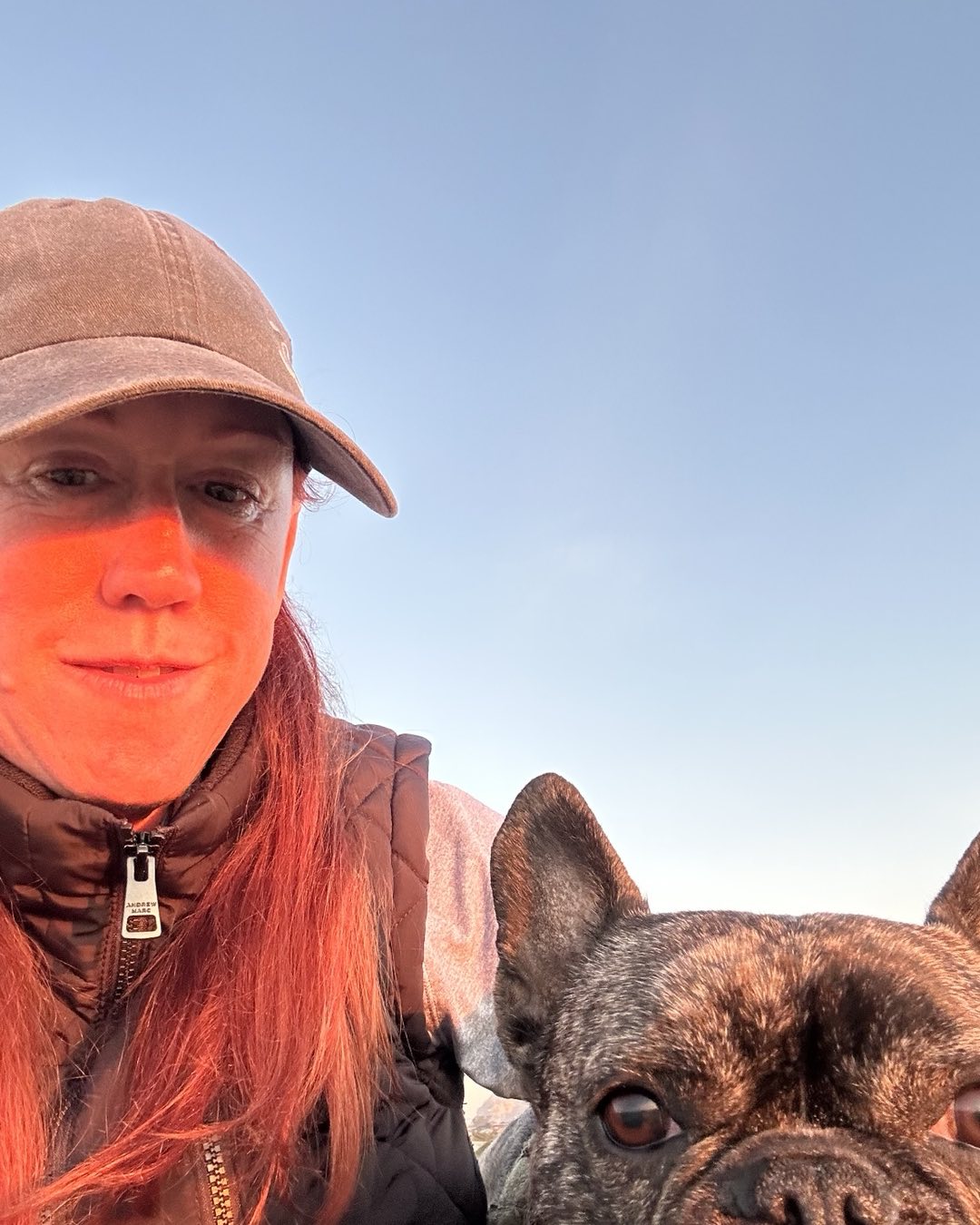 Anna The Dog Trainer Shingle Springs