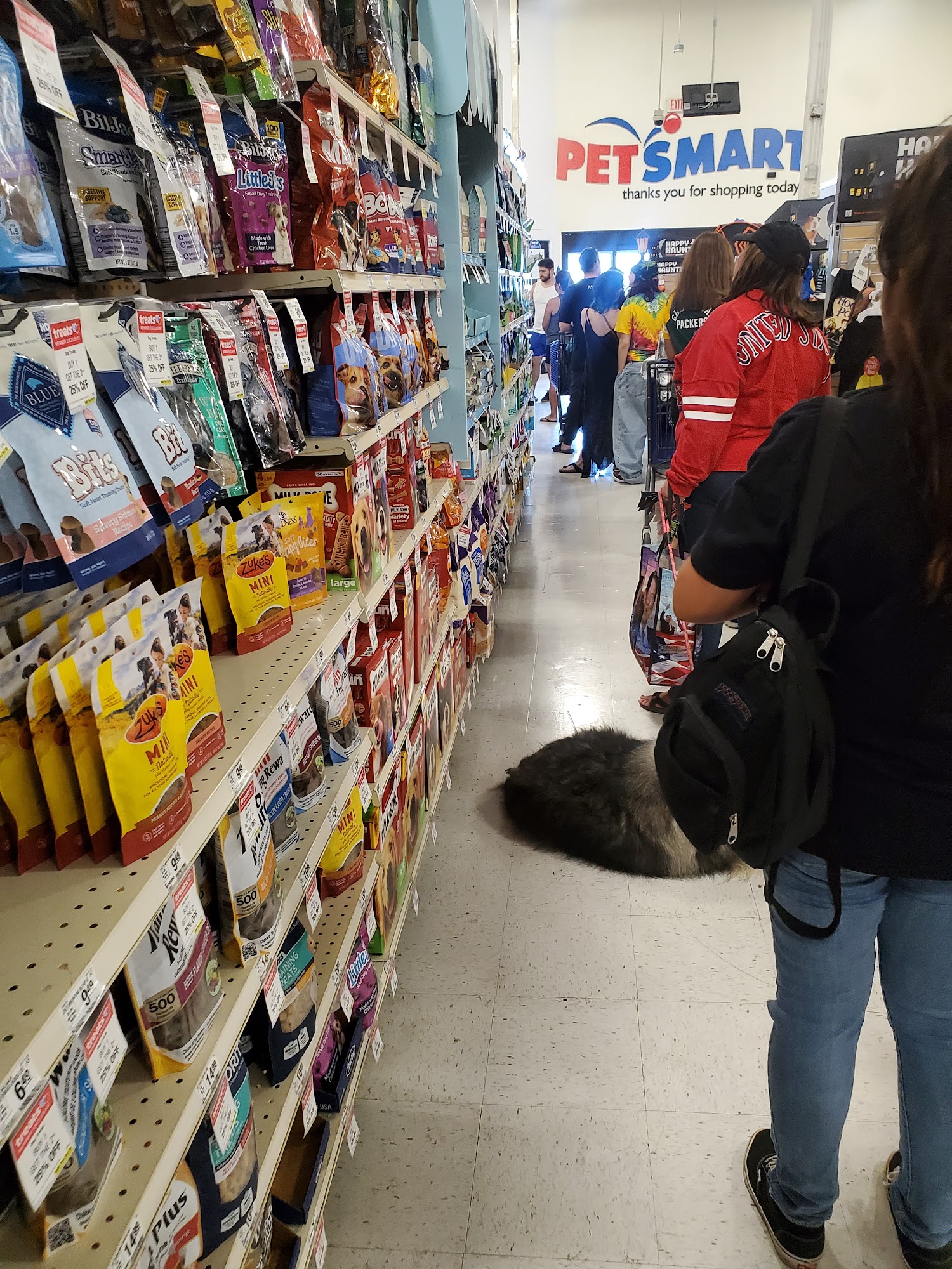 PetSmart Simi Valley