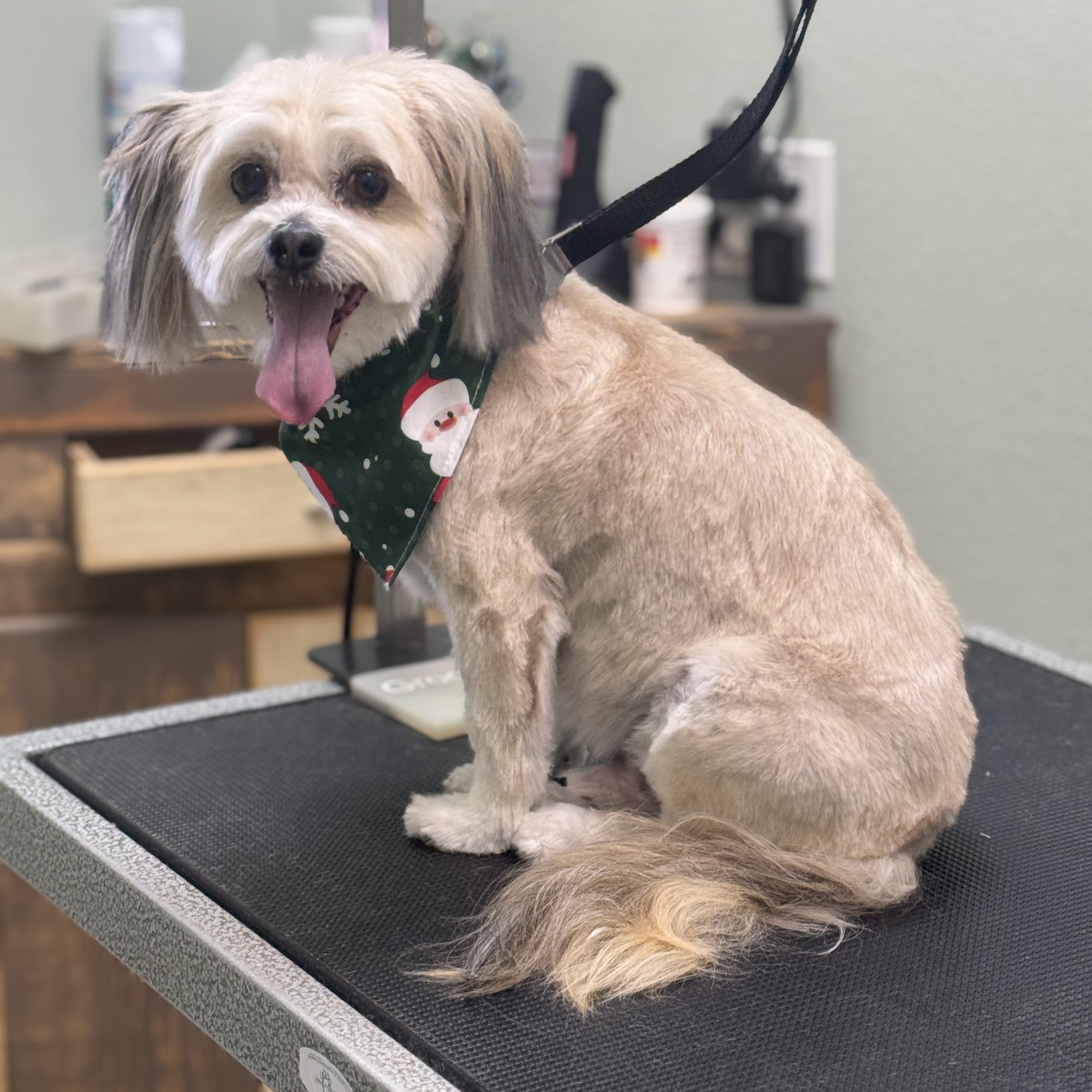 Double T Kennels Simi Valley