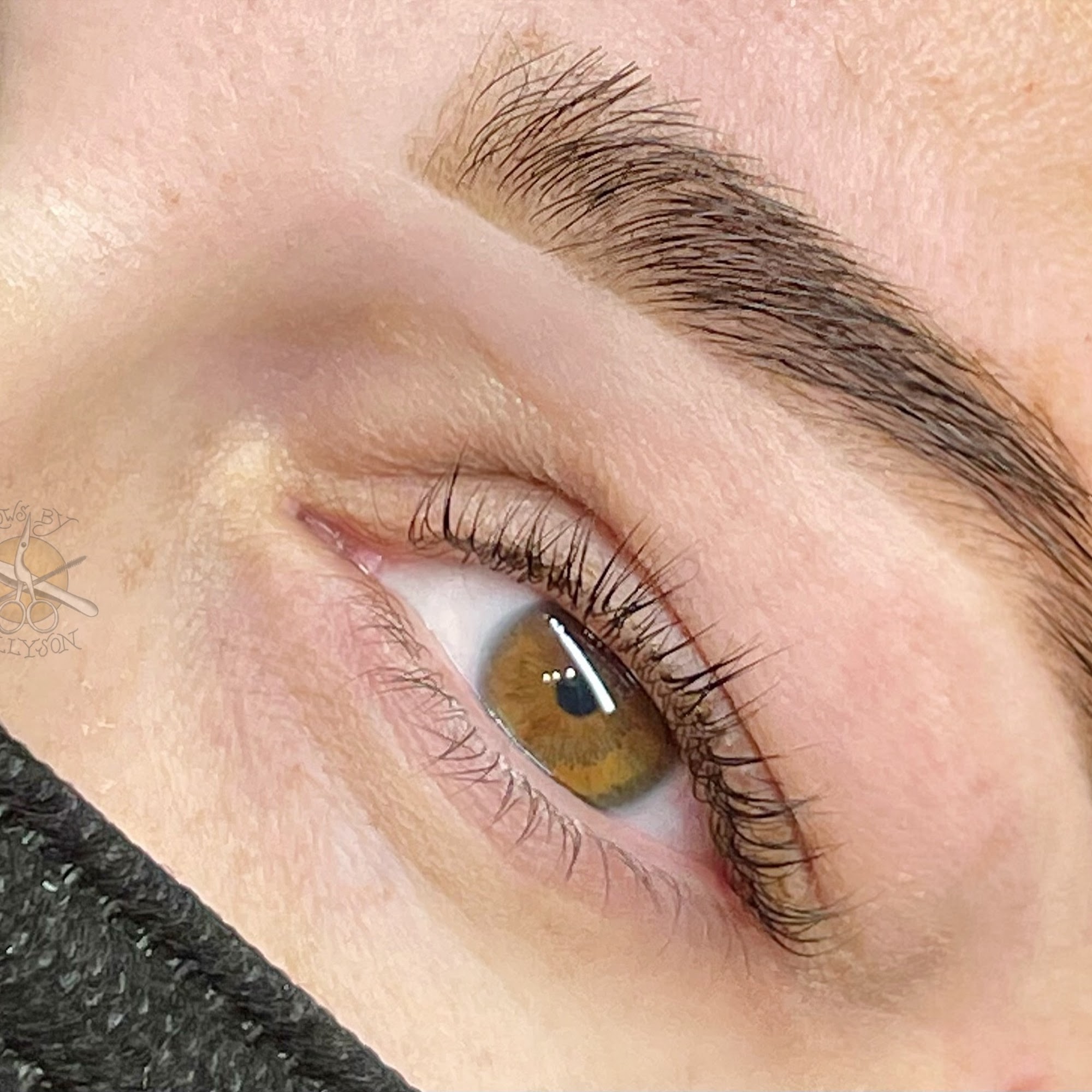 Brows by Allyson
