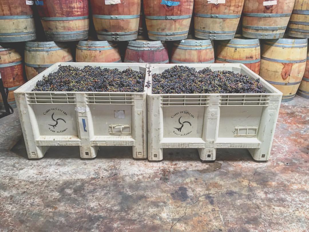 Carruth Cellars Urban Winery & Tasting Room Solana Beach