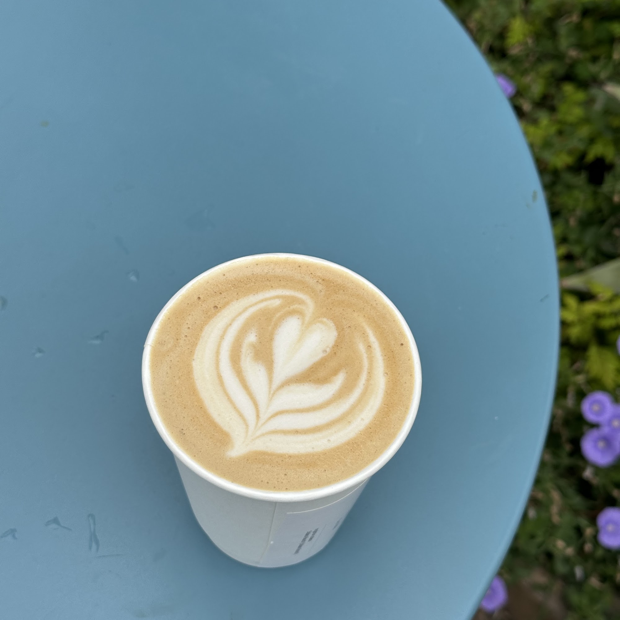 Seven Seas Roasting Co. Solana Beach Solana Beach