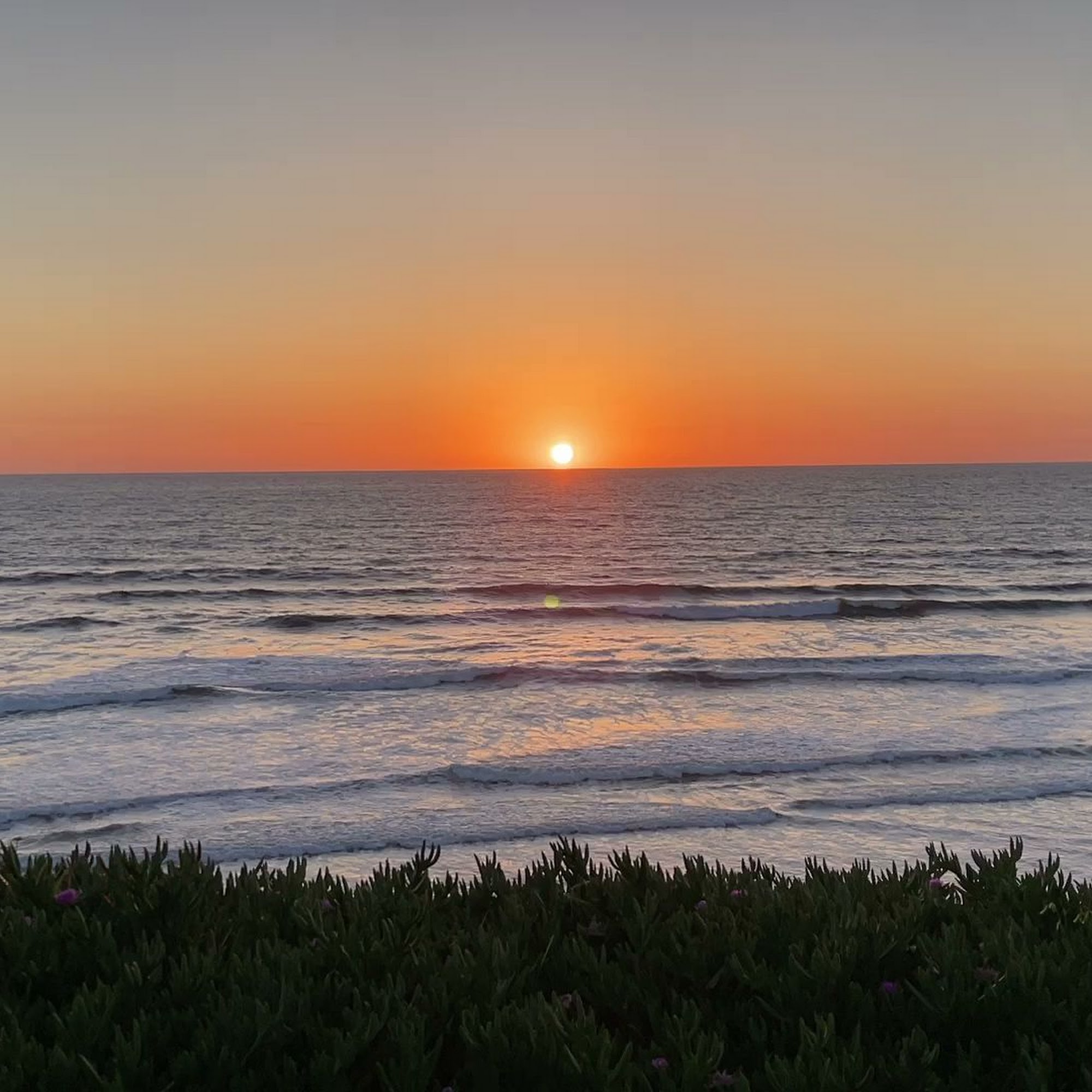 Wrapton Solana Beach