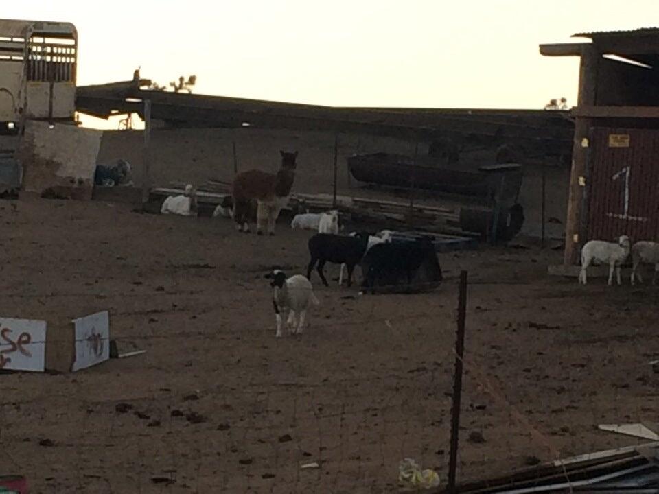 Photo credit: nextdoor