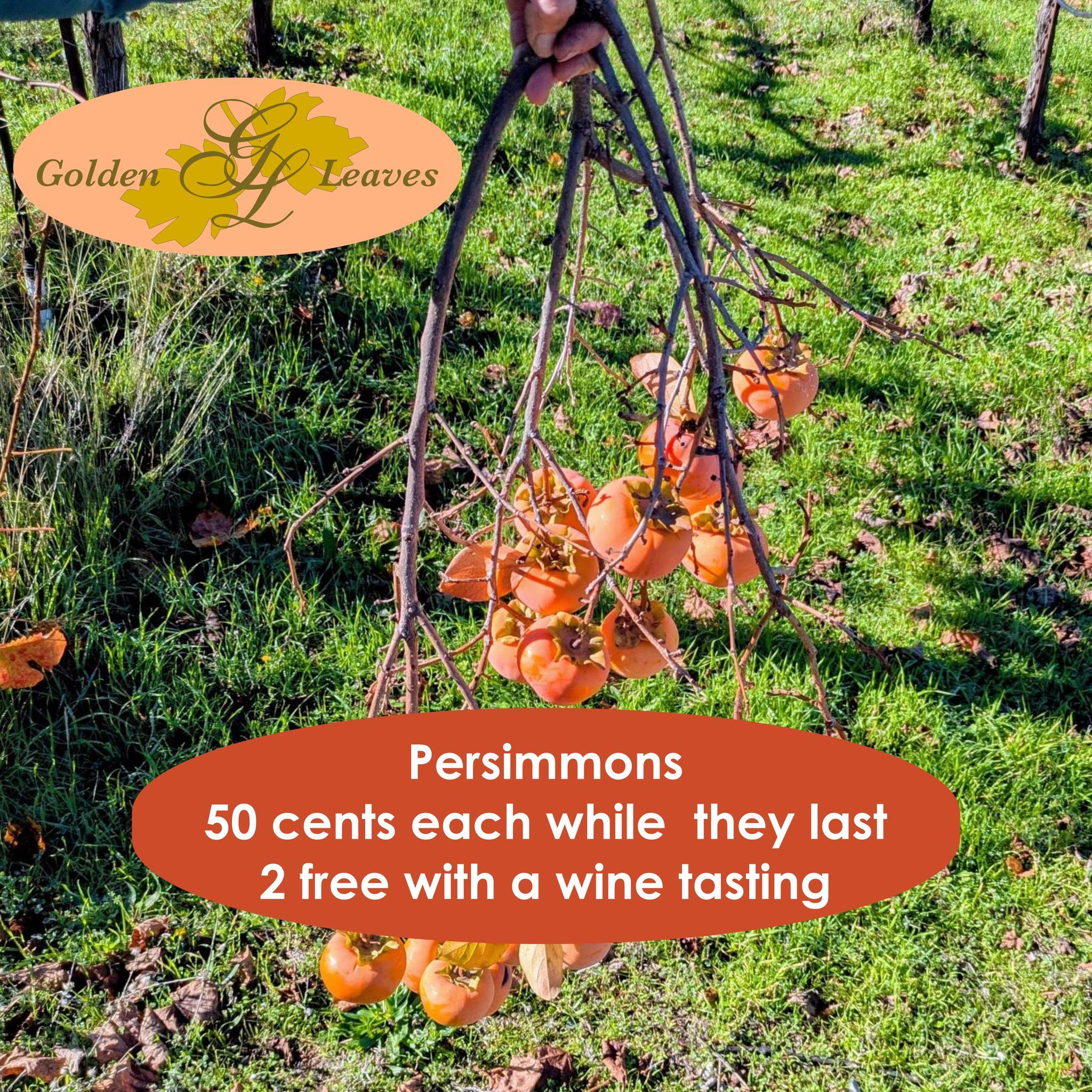 Golden Leaves Bistro Somerset