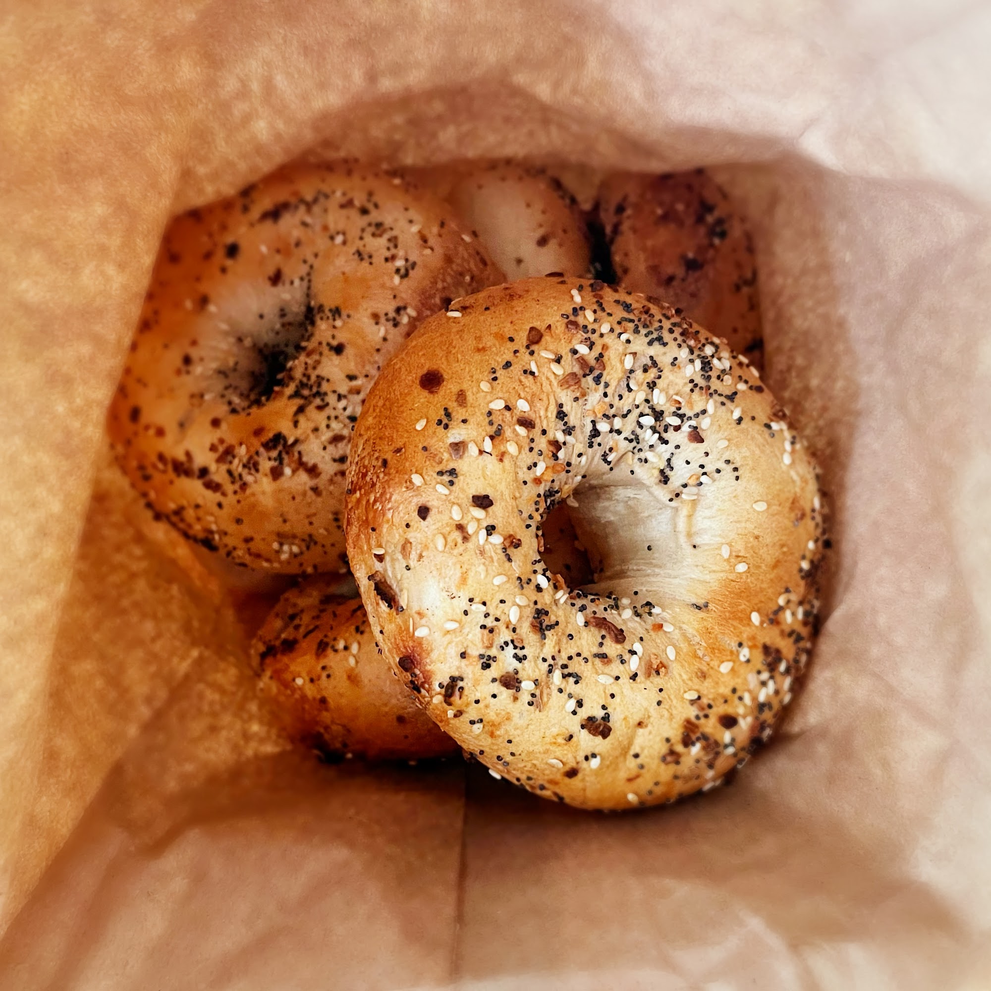 Homegrown Bagels Sonoma