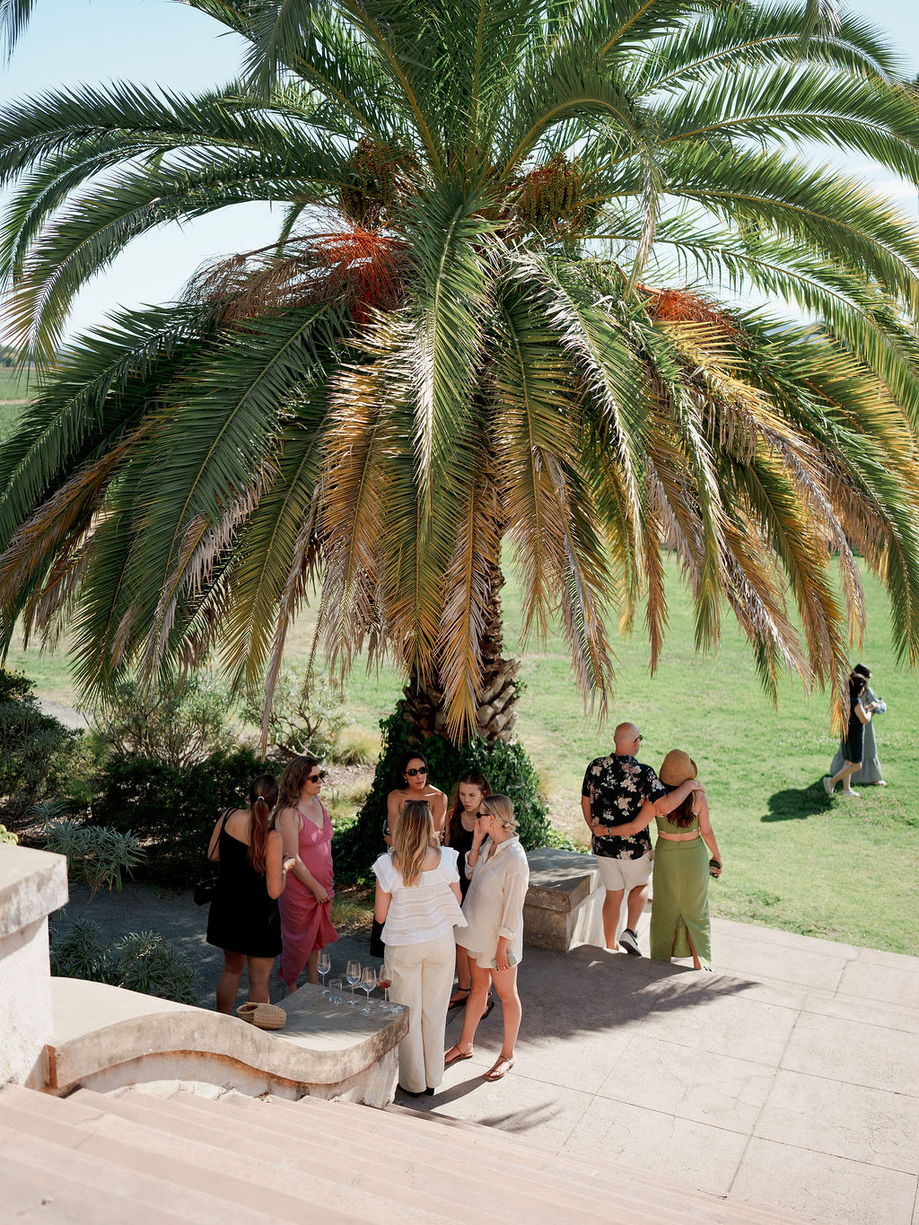 Scribe Winery Sonoma