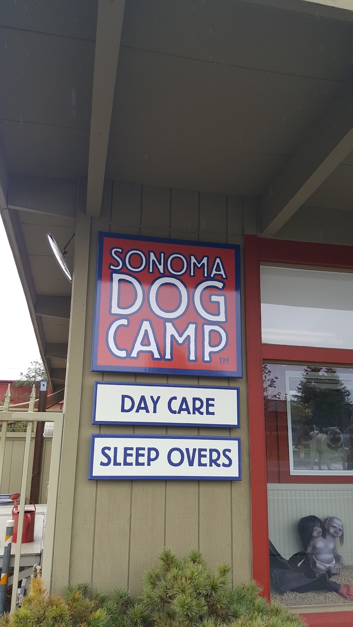 Sonoma Dog Camp Sonoma