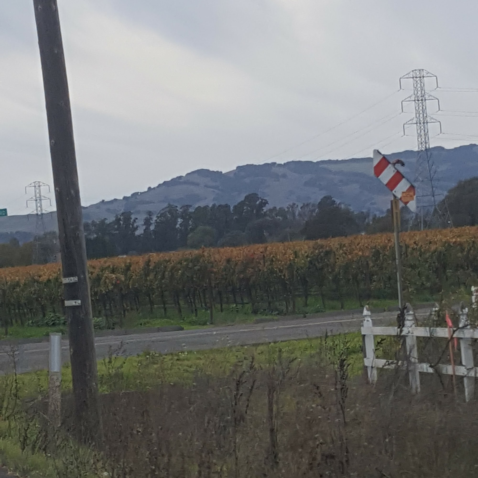 Happy Pets Inn Sonoma