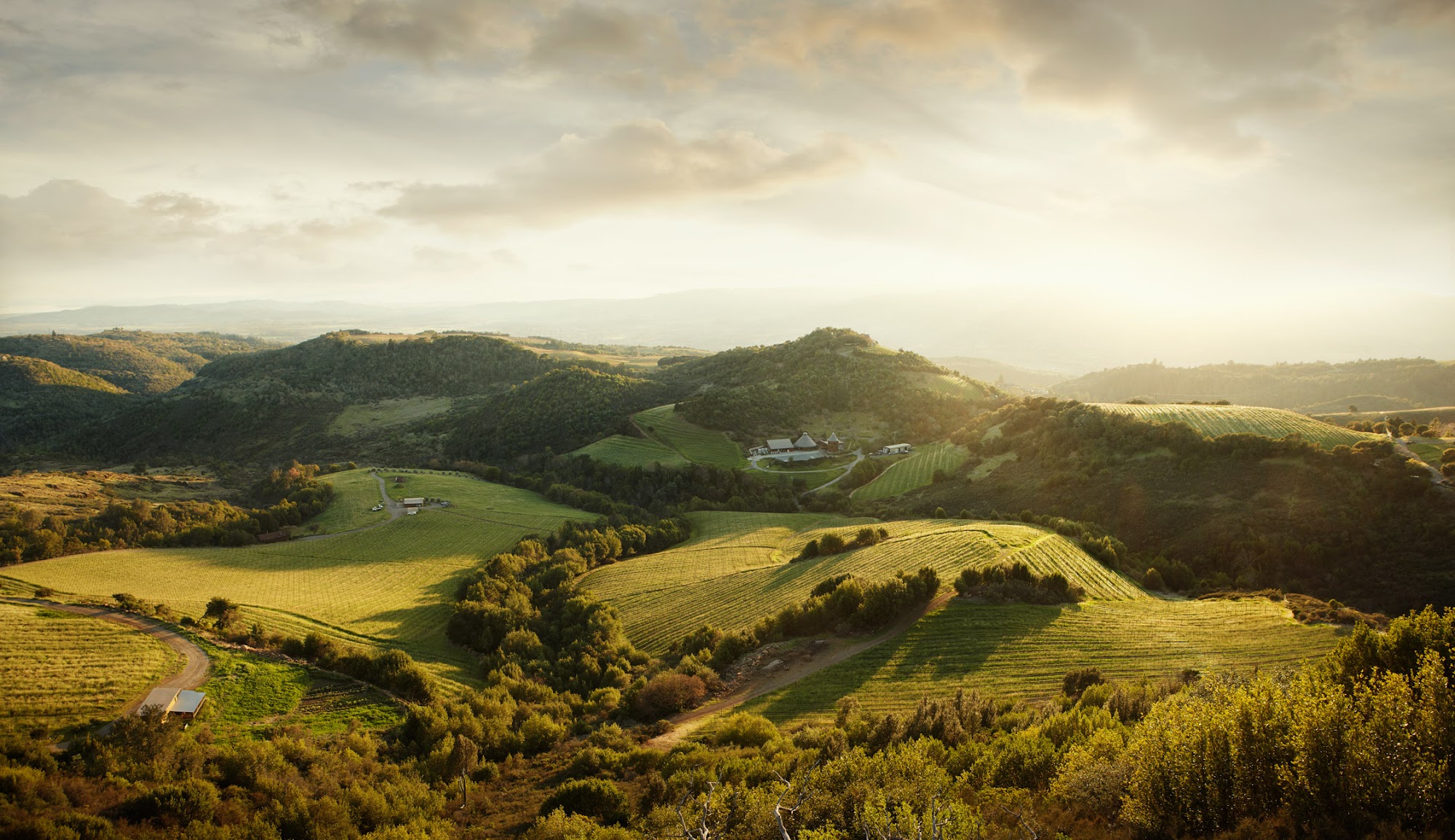 Repris Wines (by reservation only) Menu