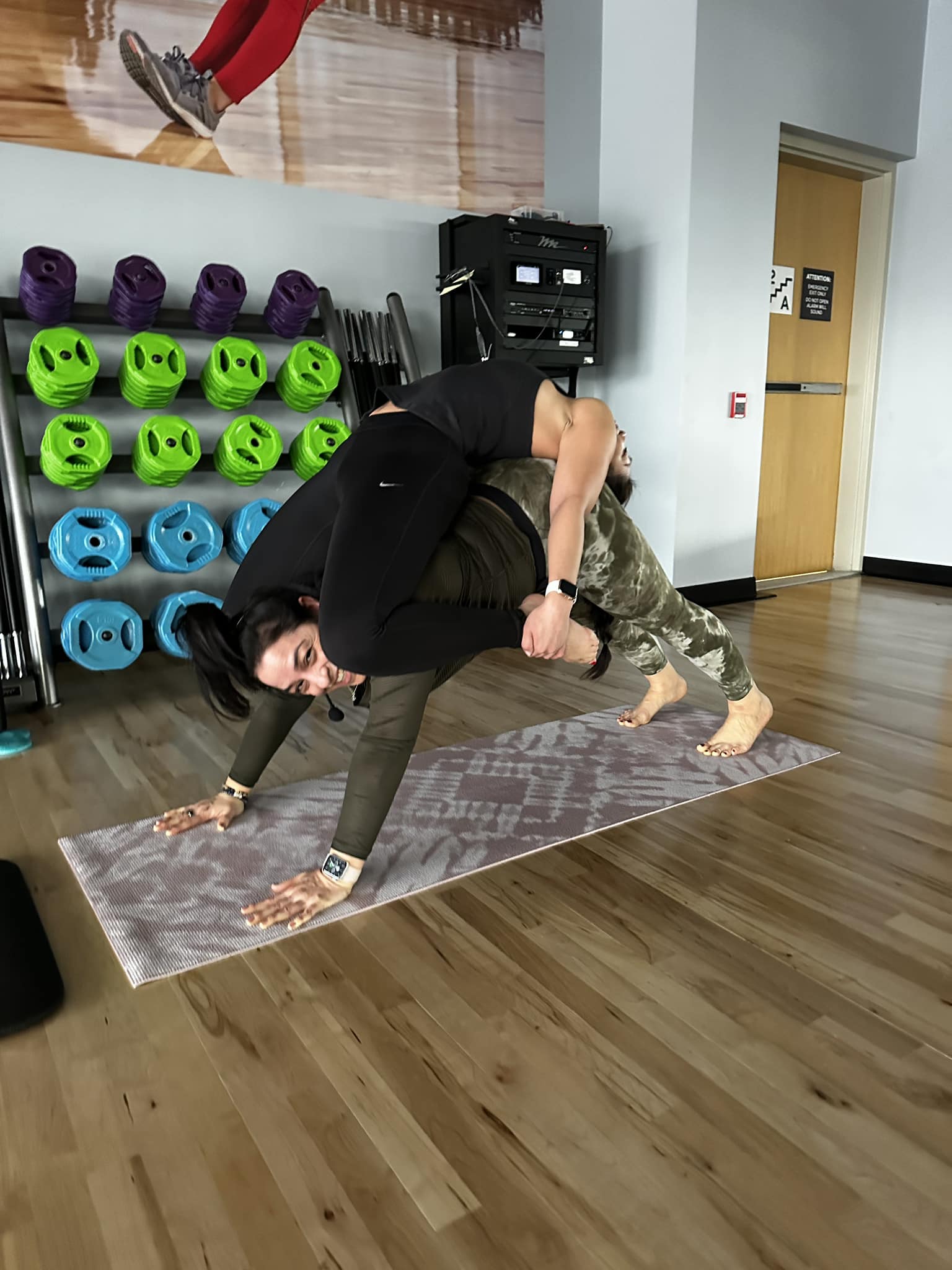 WILD WOMAN WELLNESS