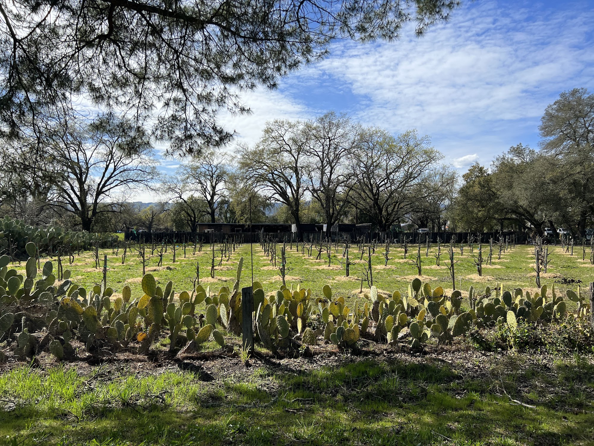 Parks & Recreation Department Sonoma