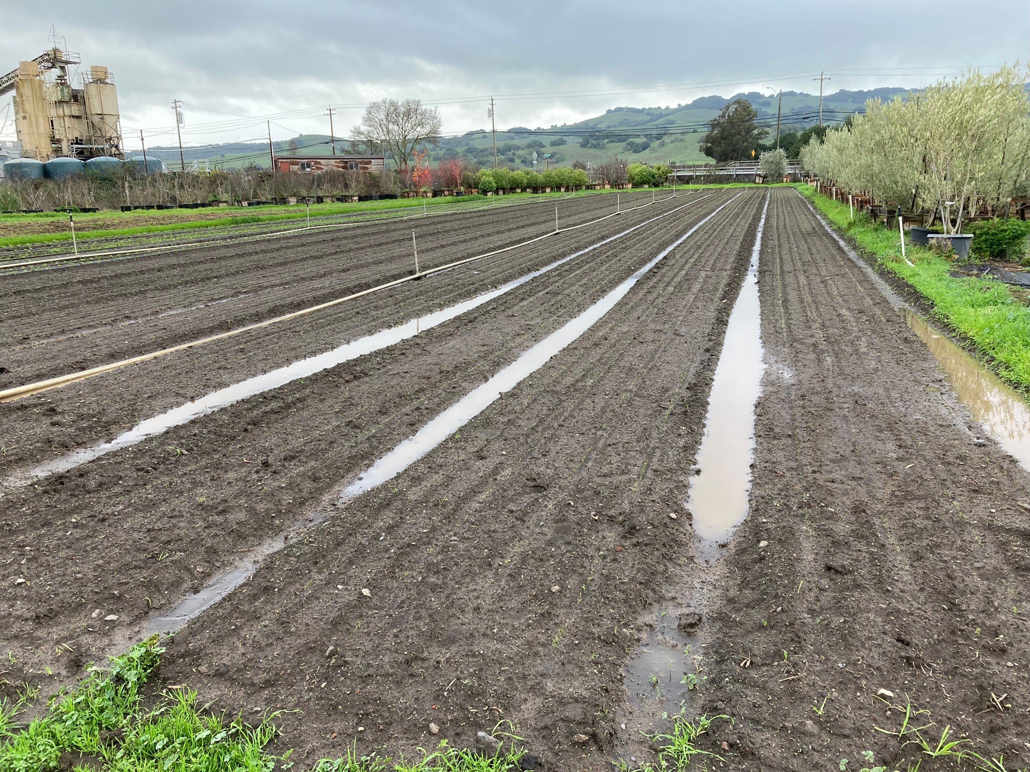 Paul's Produce Sonoma