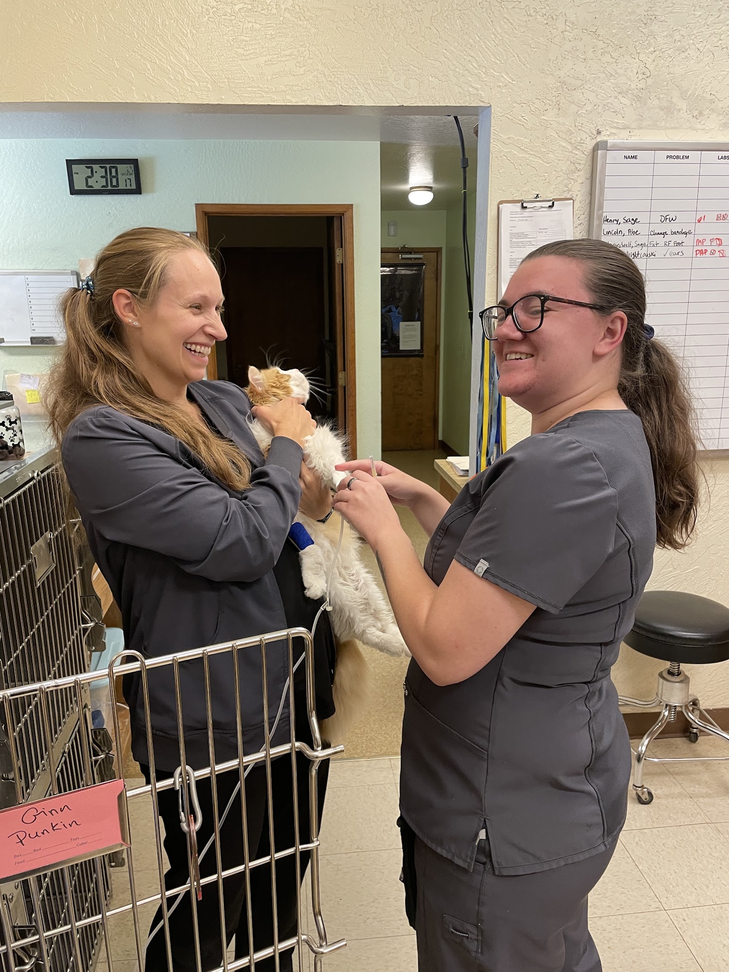 Sonora Veterinary Group Sonora