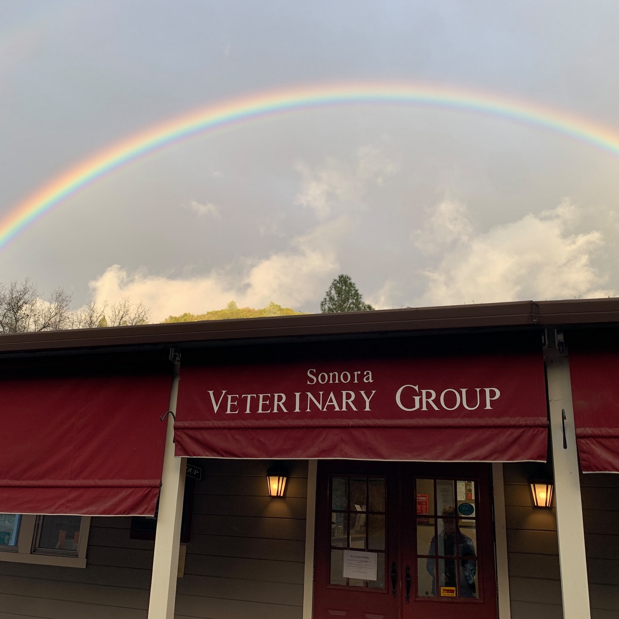 Sonora Veterinary Group Sonora