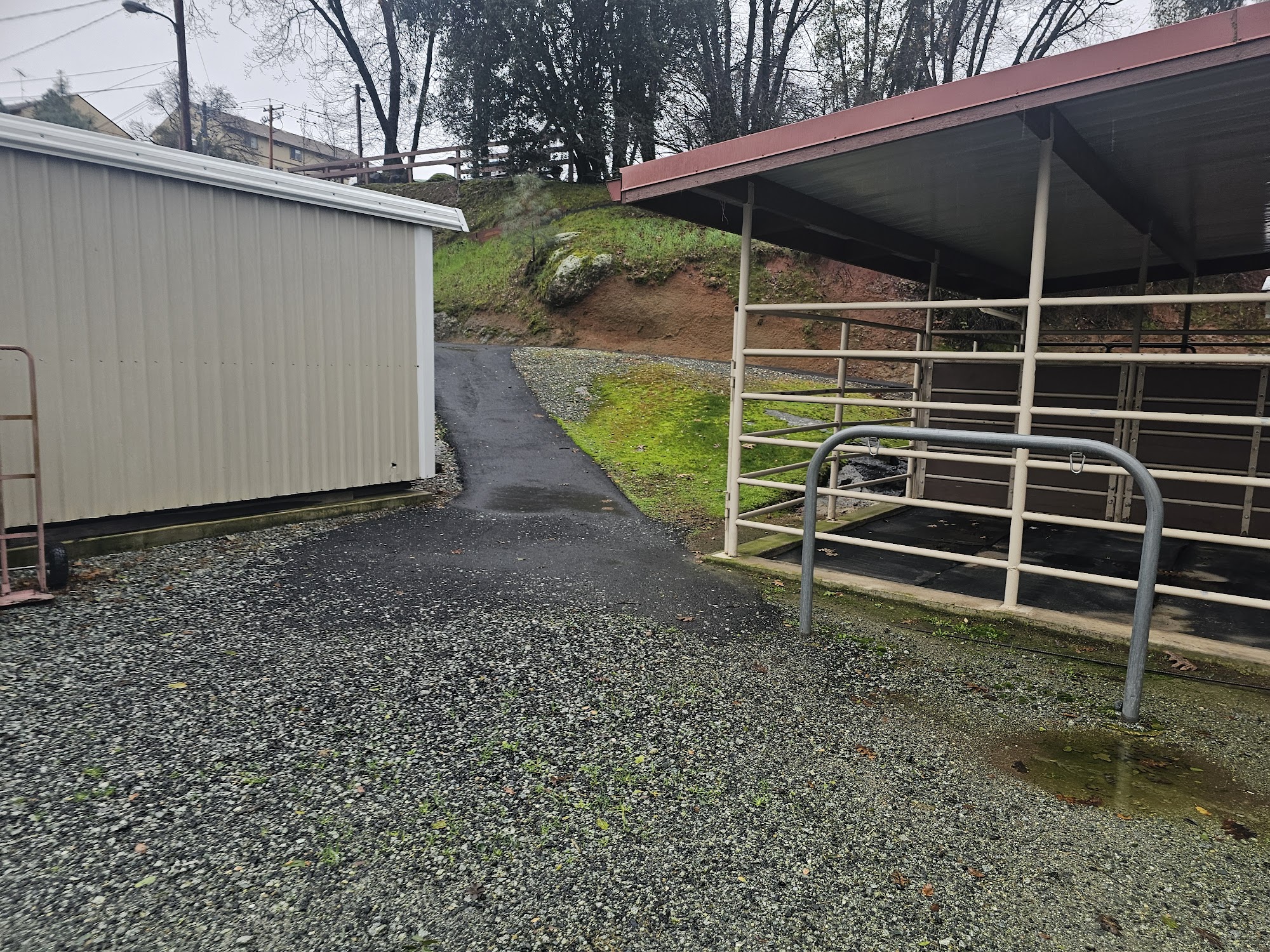 Mono Way Veterinary Hospital Sonora