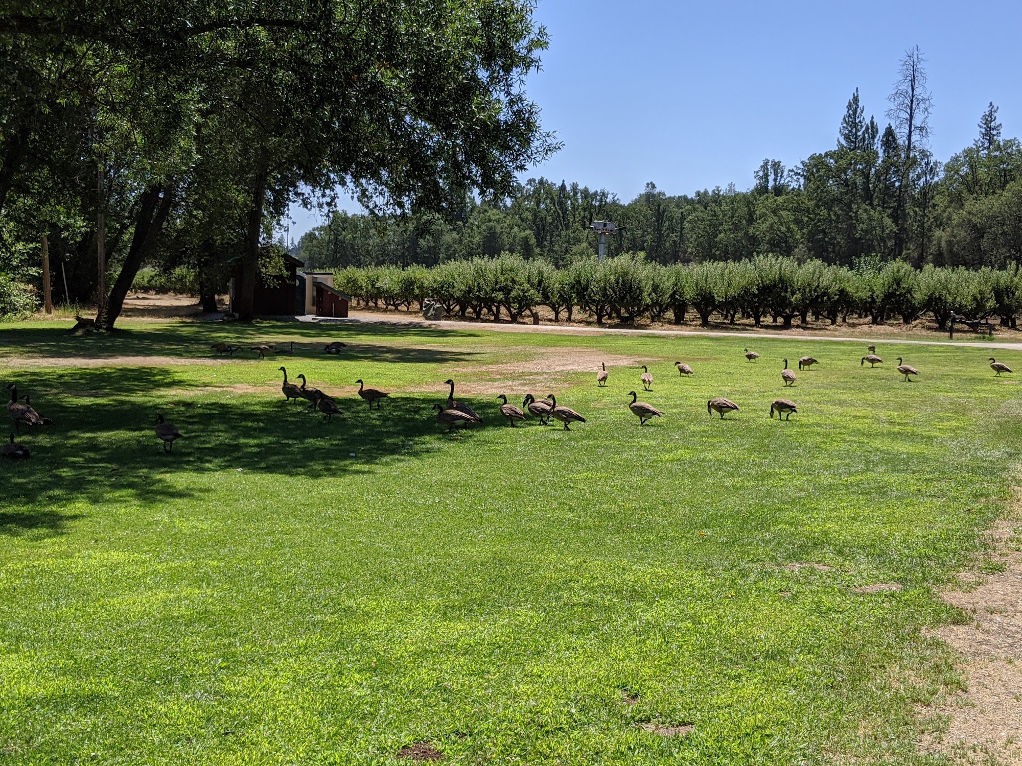 Indigeny Reserve Sonora