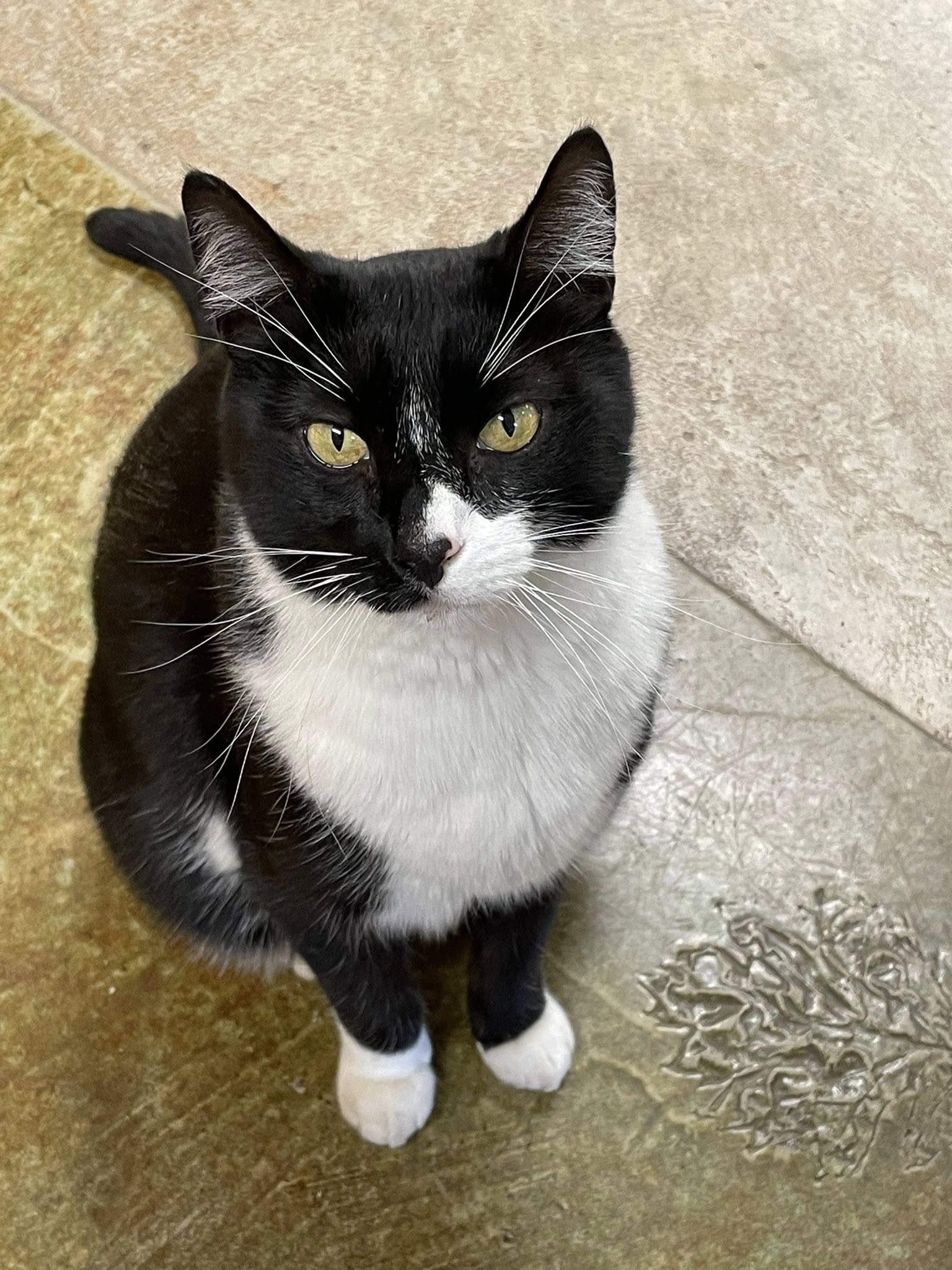 Inner Sanctum Cellars Basecamp & Event Center Sonora