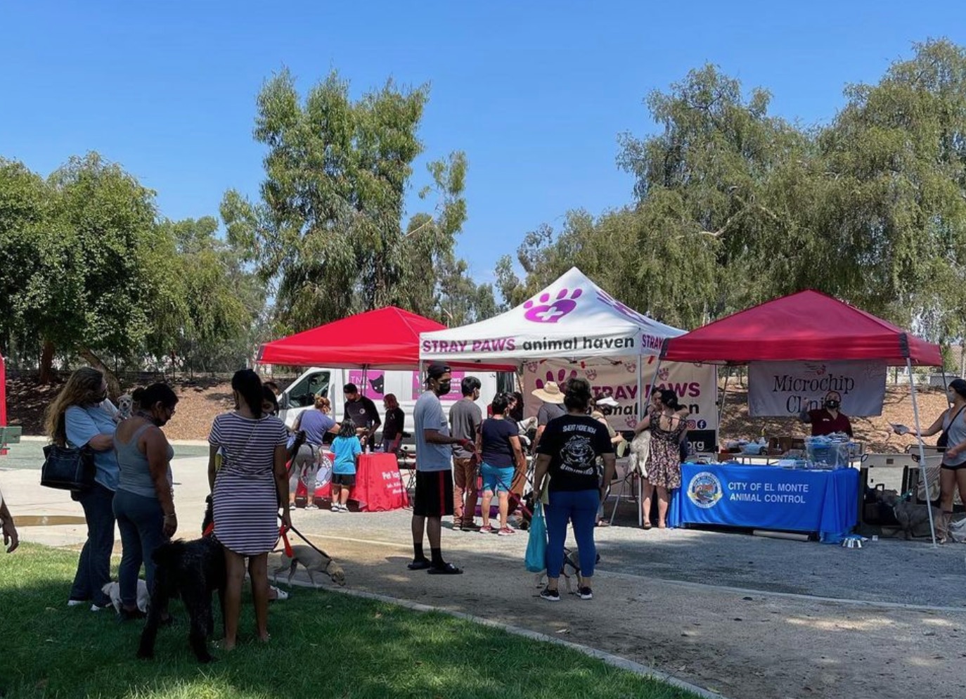Stray Paws Animal Haven South El Monte