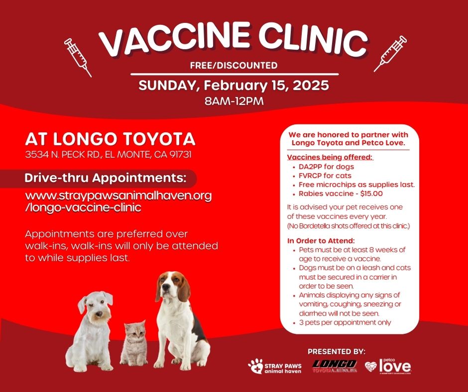 Stray Paws Animal Haven South El Monte