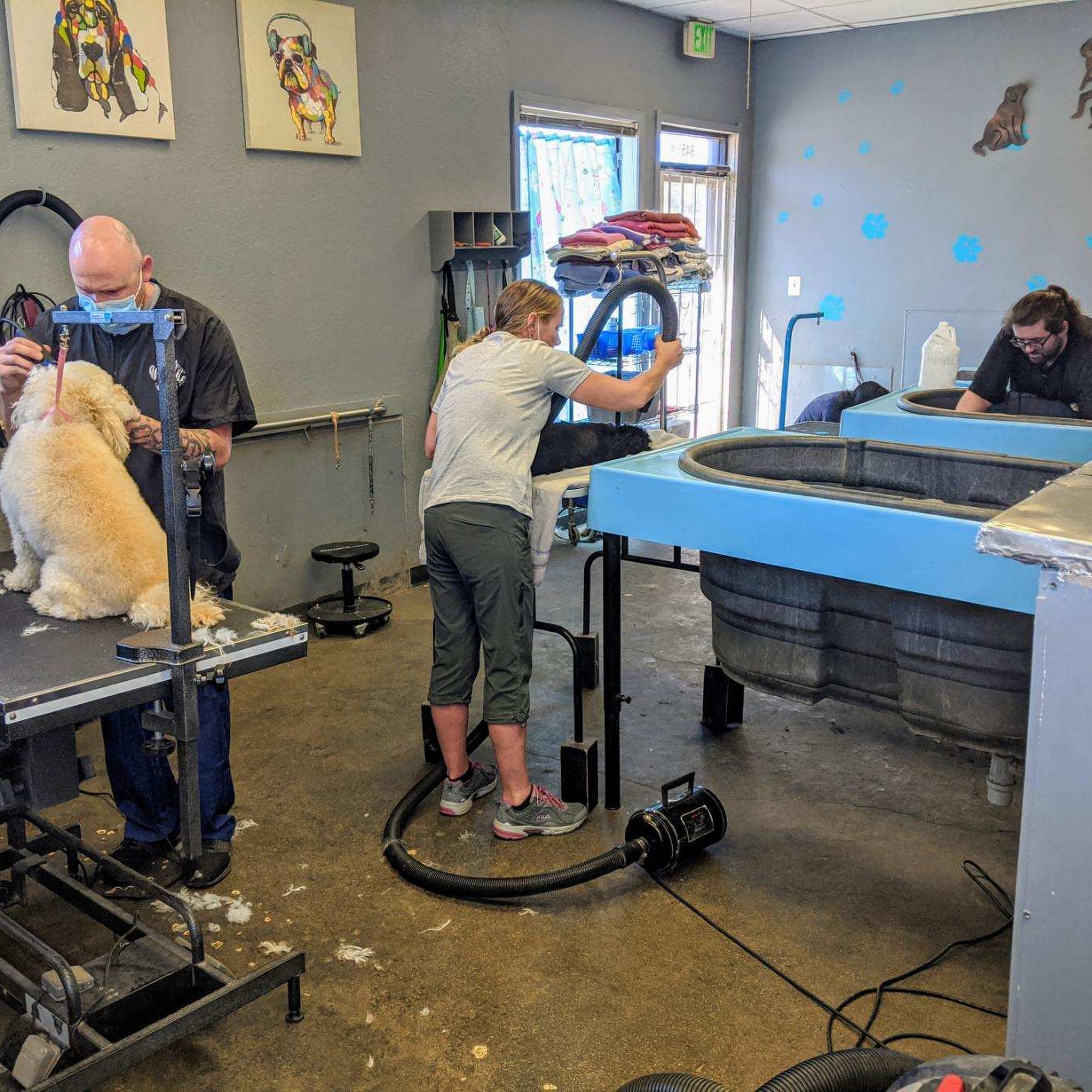 Dog Wash of Tahoe South Lake Tahoe