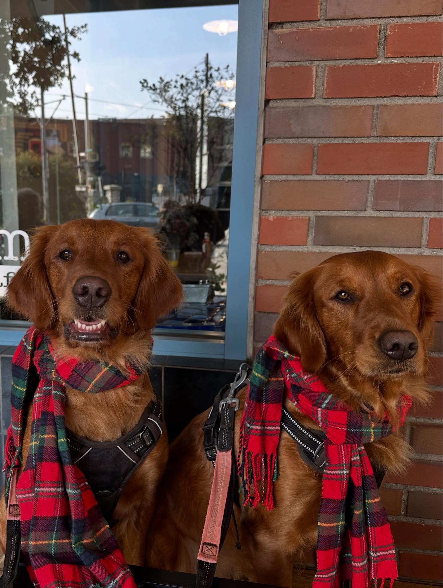 Heirloom Bakery & Cafe South Pasadena