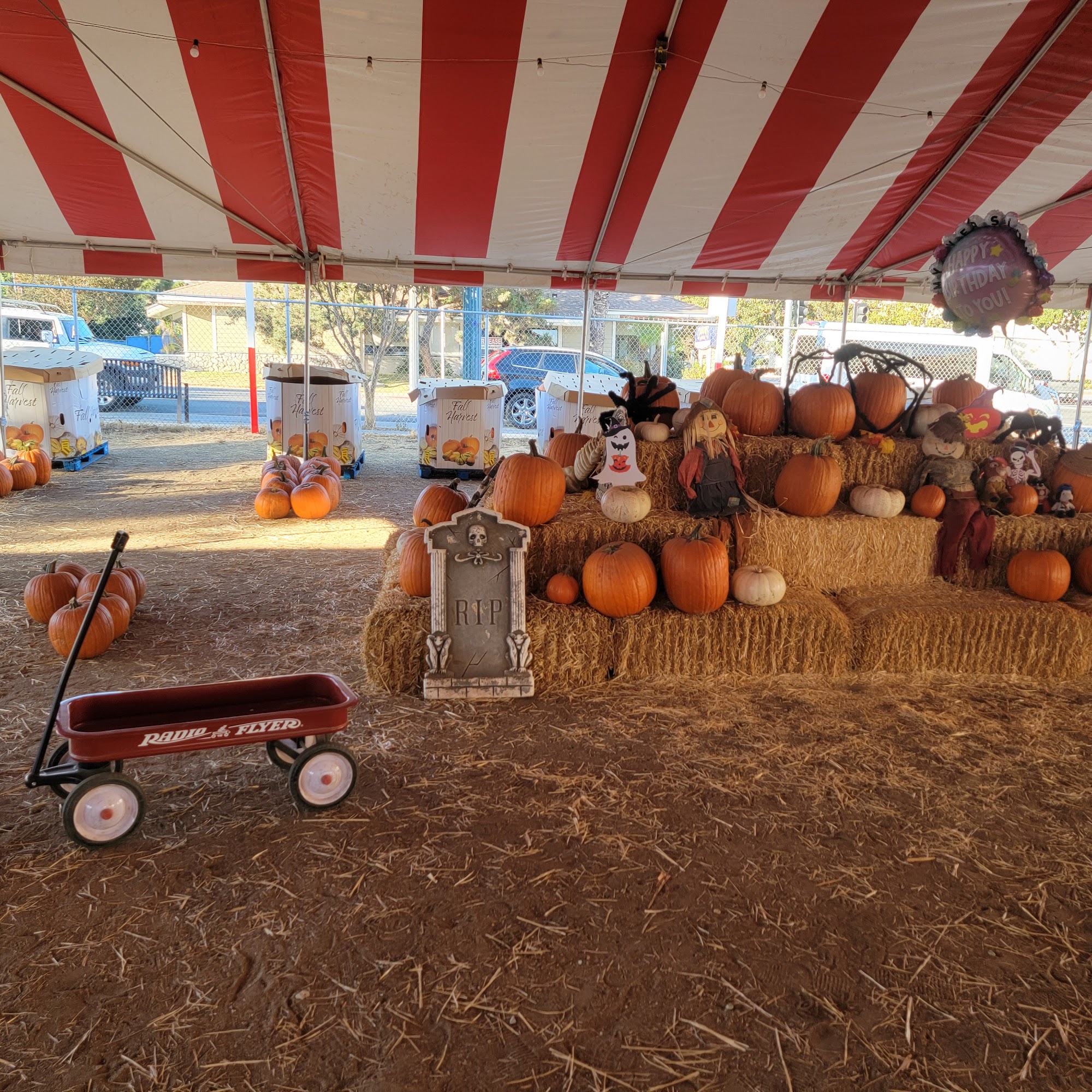 Tahoe Scottys South Pasadena