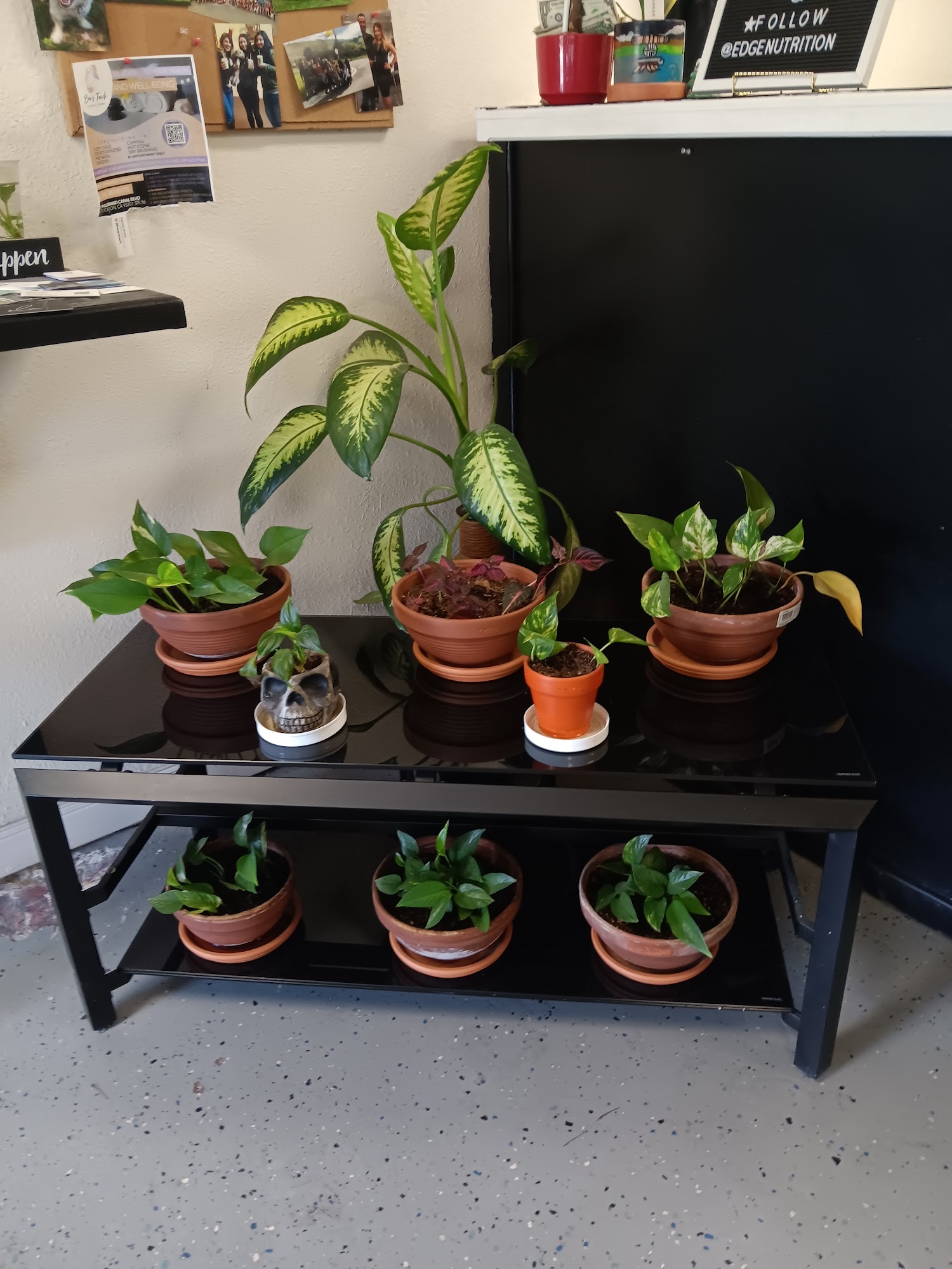 Edge - Nutrition & Wellness Club Menu