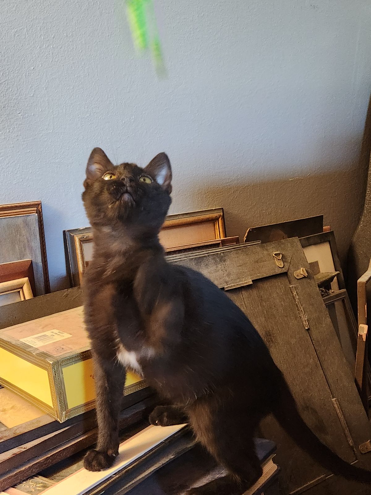 Village Oaks Community Park Stockton