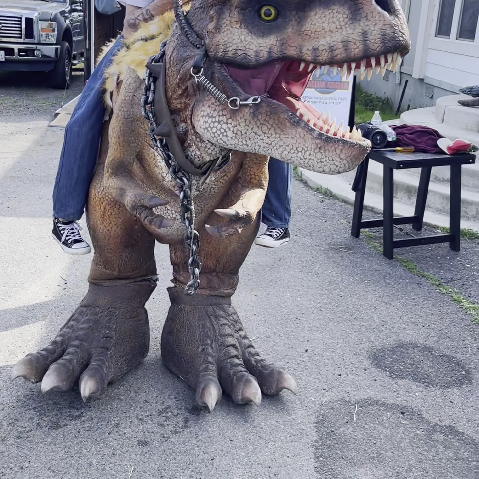 Gypsy Cowgirl Strathmore