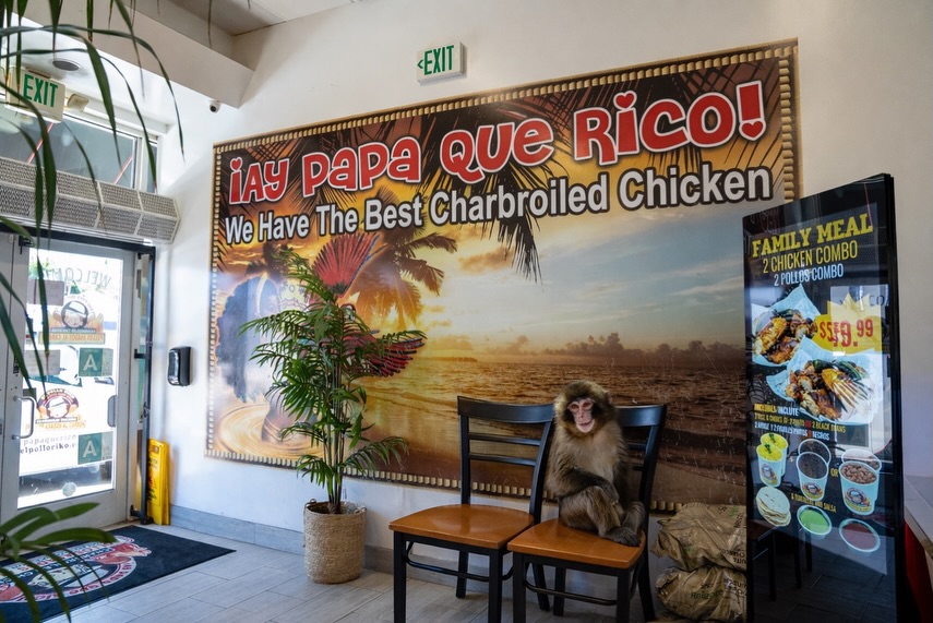 Ay Papa Que Rico Sun Valley