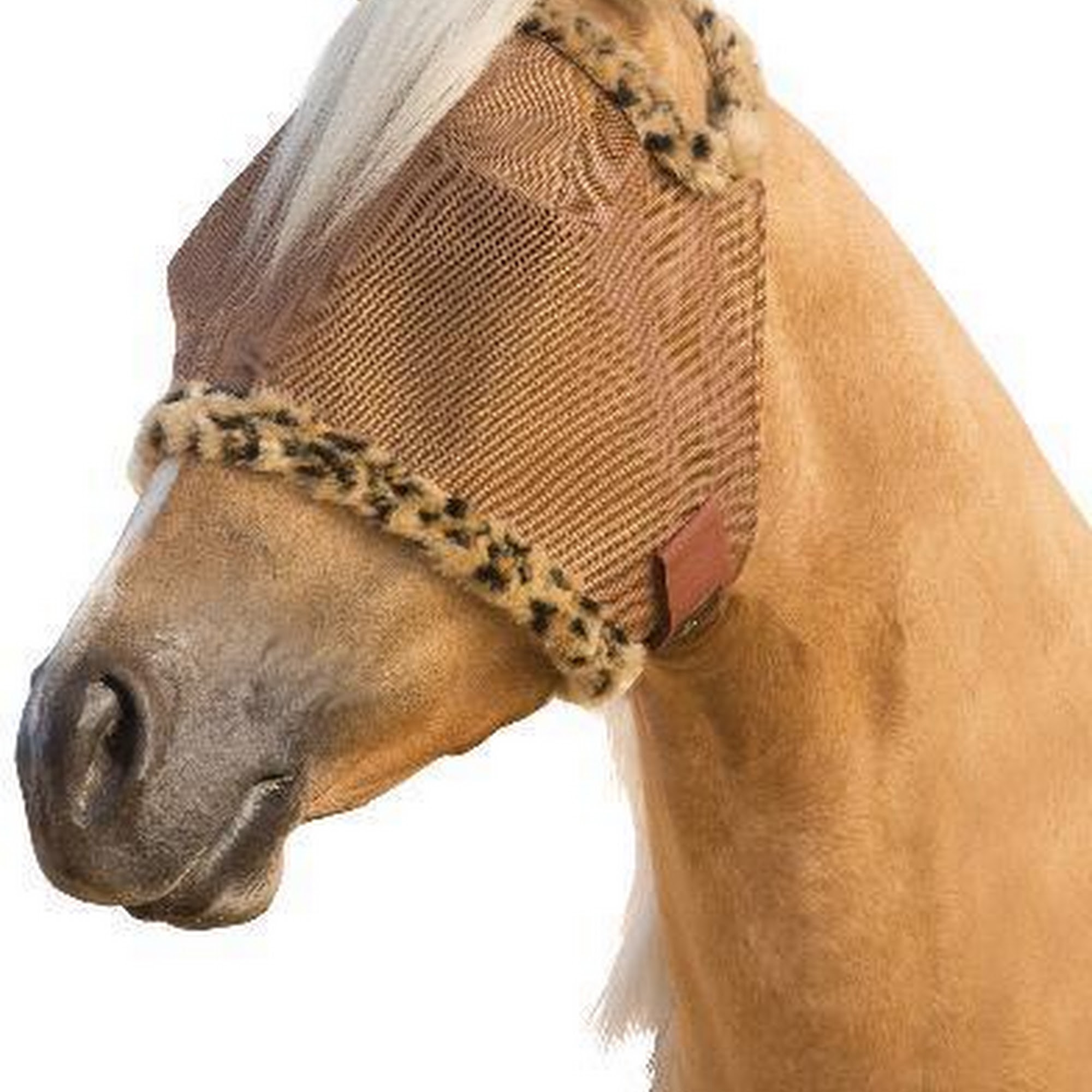 East Valley Feed & Tack Sun Valley