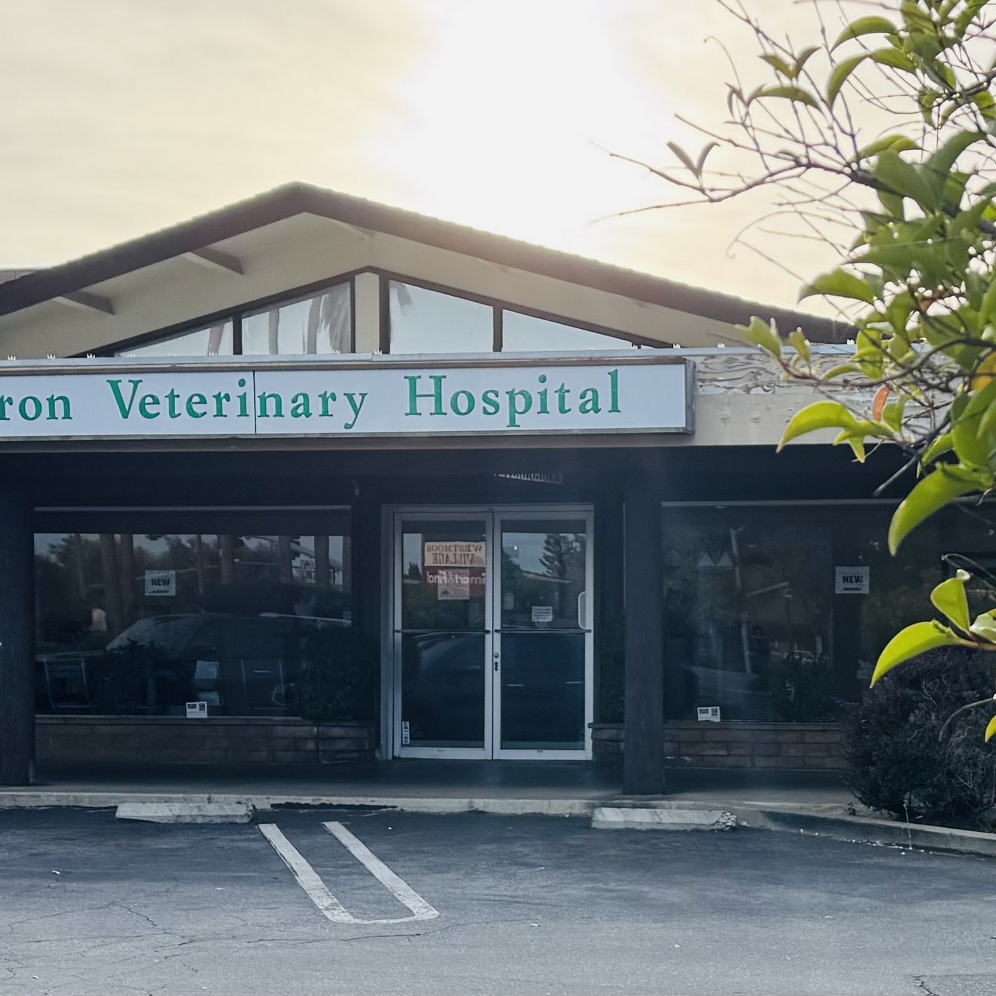 Cameron Veterinary Hospital Sunnyvale