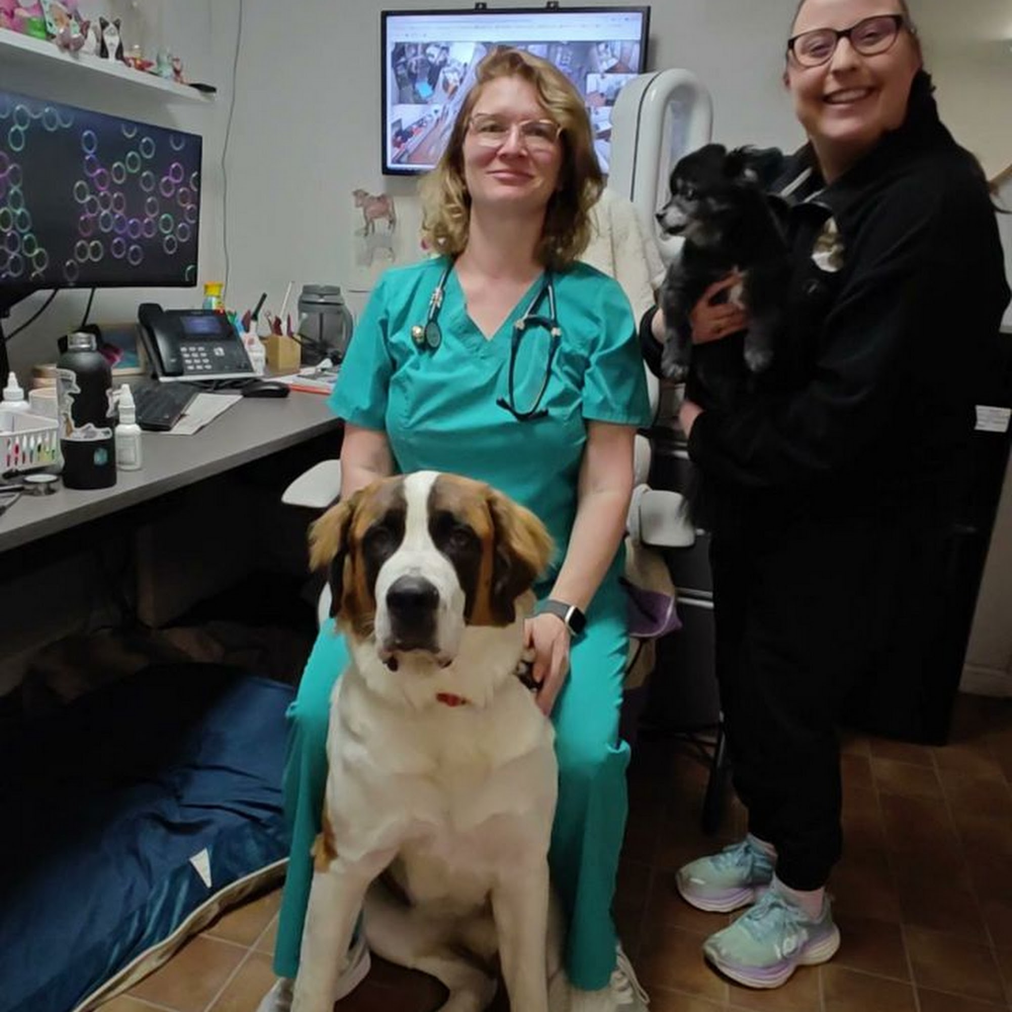 Cherry Chase Pet Hospital Sunnyvale