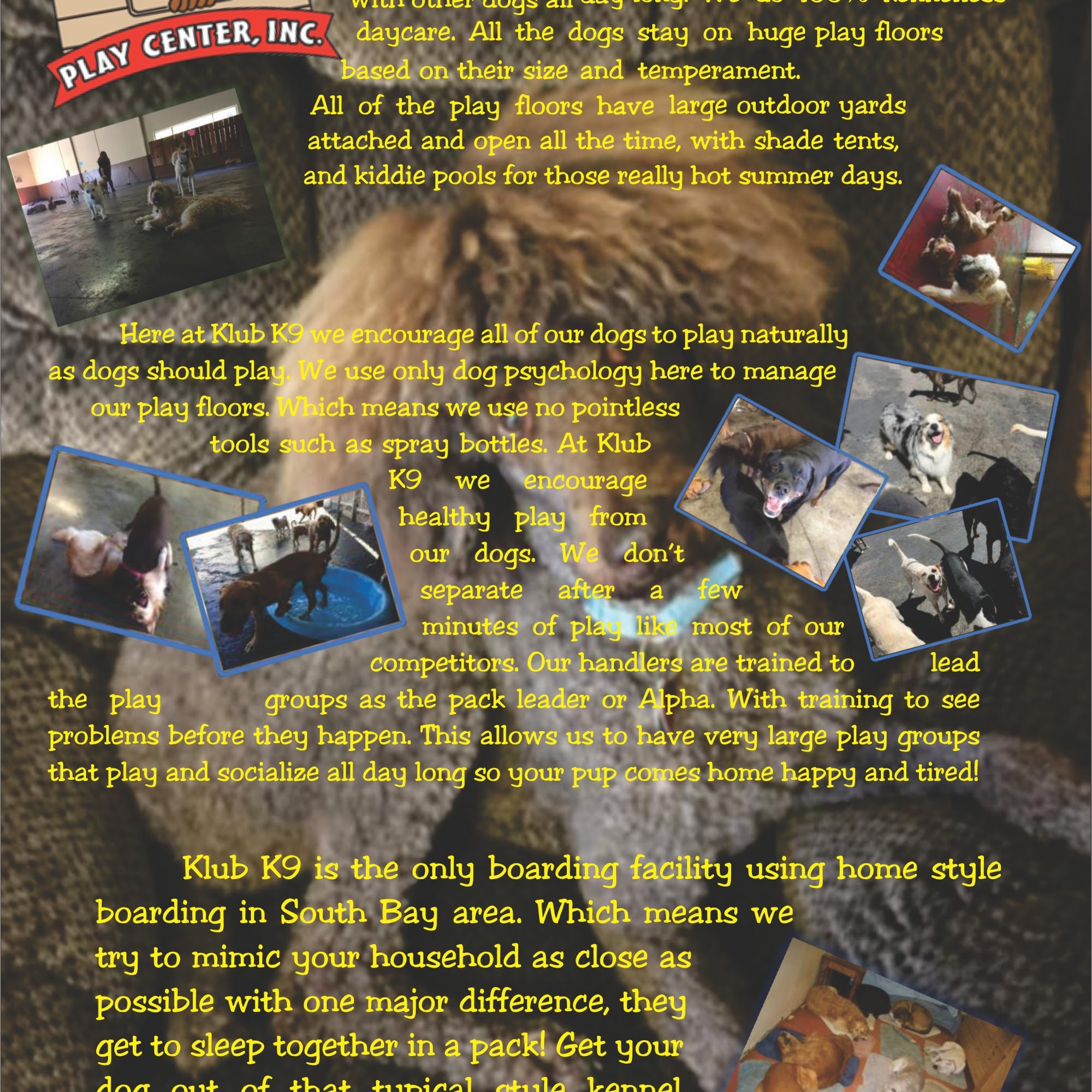 Klub K9 Play Center Sunnyvale