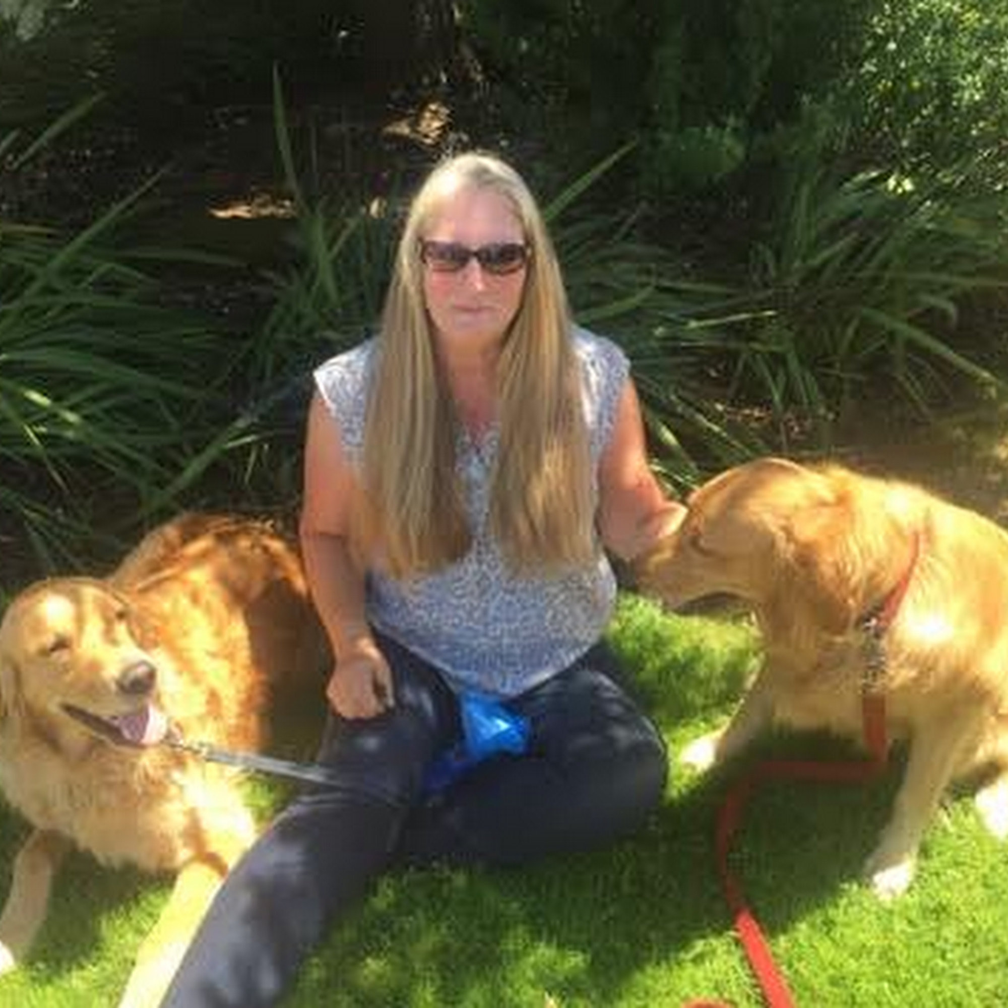 Sittin' Pretty Pet & Home Sitters Sunnyvale