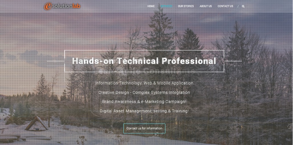 eSolutionLab, Inc